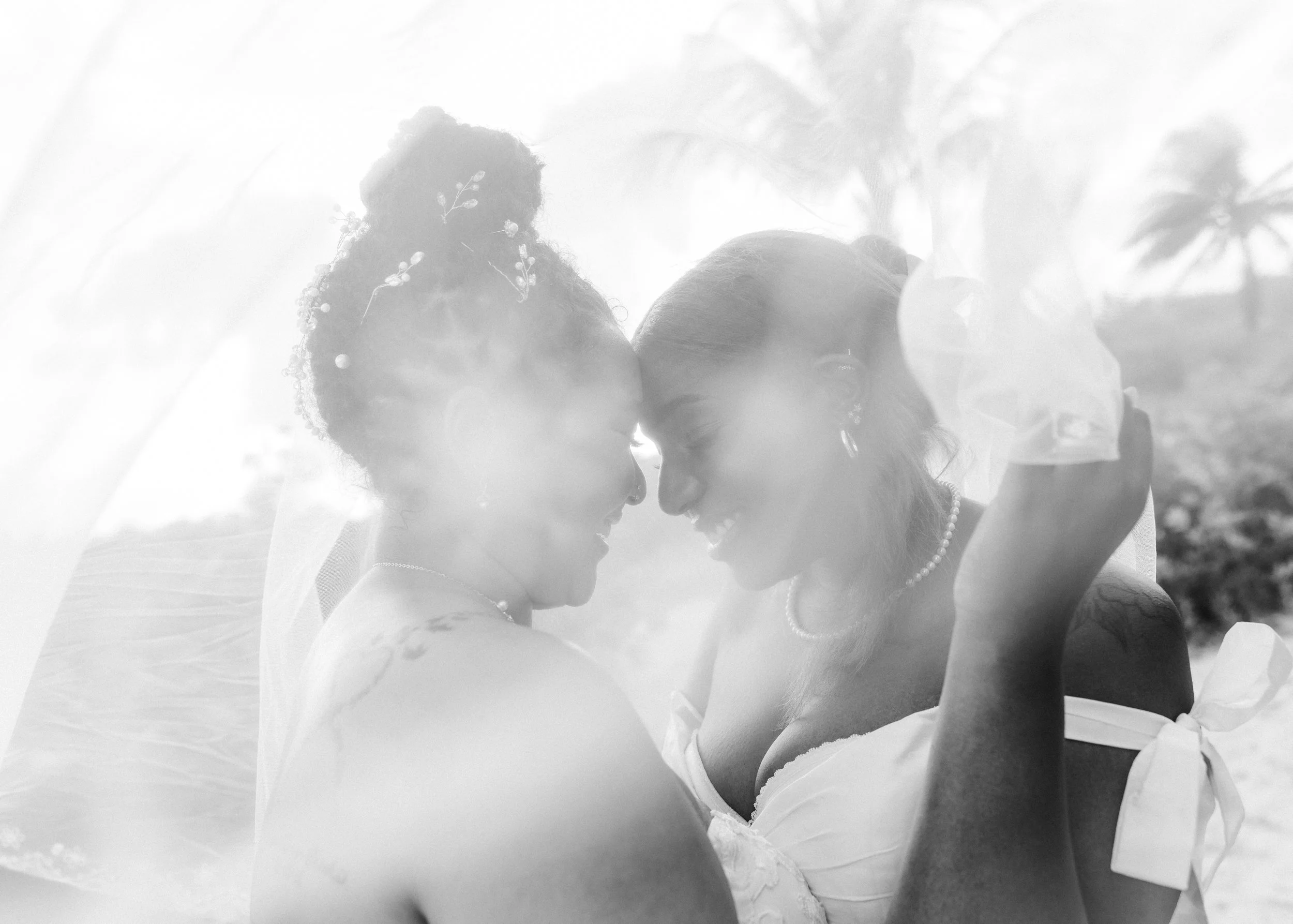 Two brides under a veil in black a white