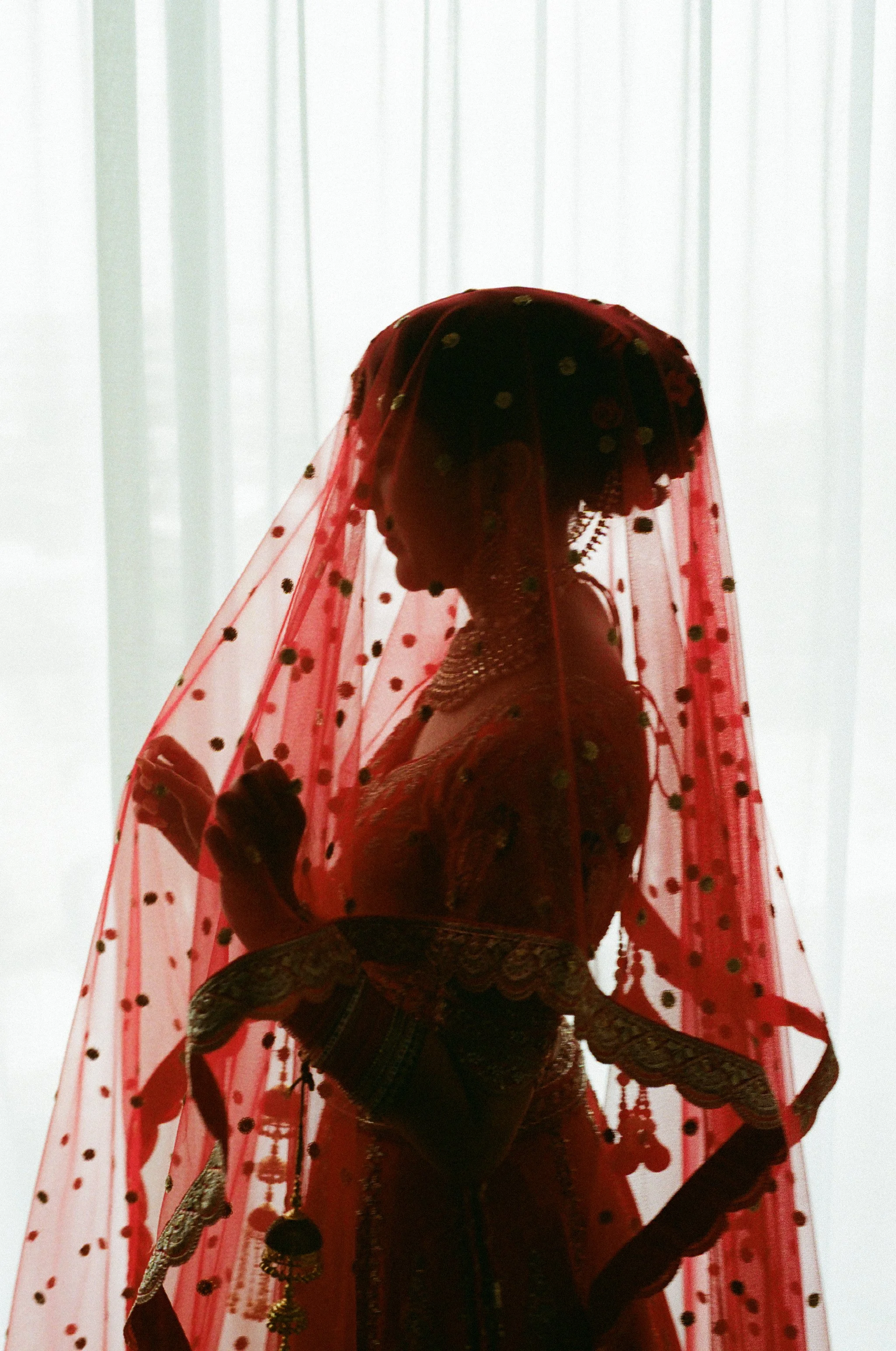 Silhouette of a woman wearing traditional Indian attire with an embroidered blouse, a sheer red dupatta with gold embroidery and polka dots, and traditional jewelry, posed against a light background.