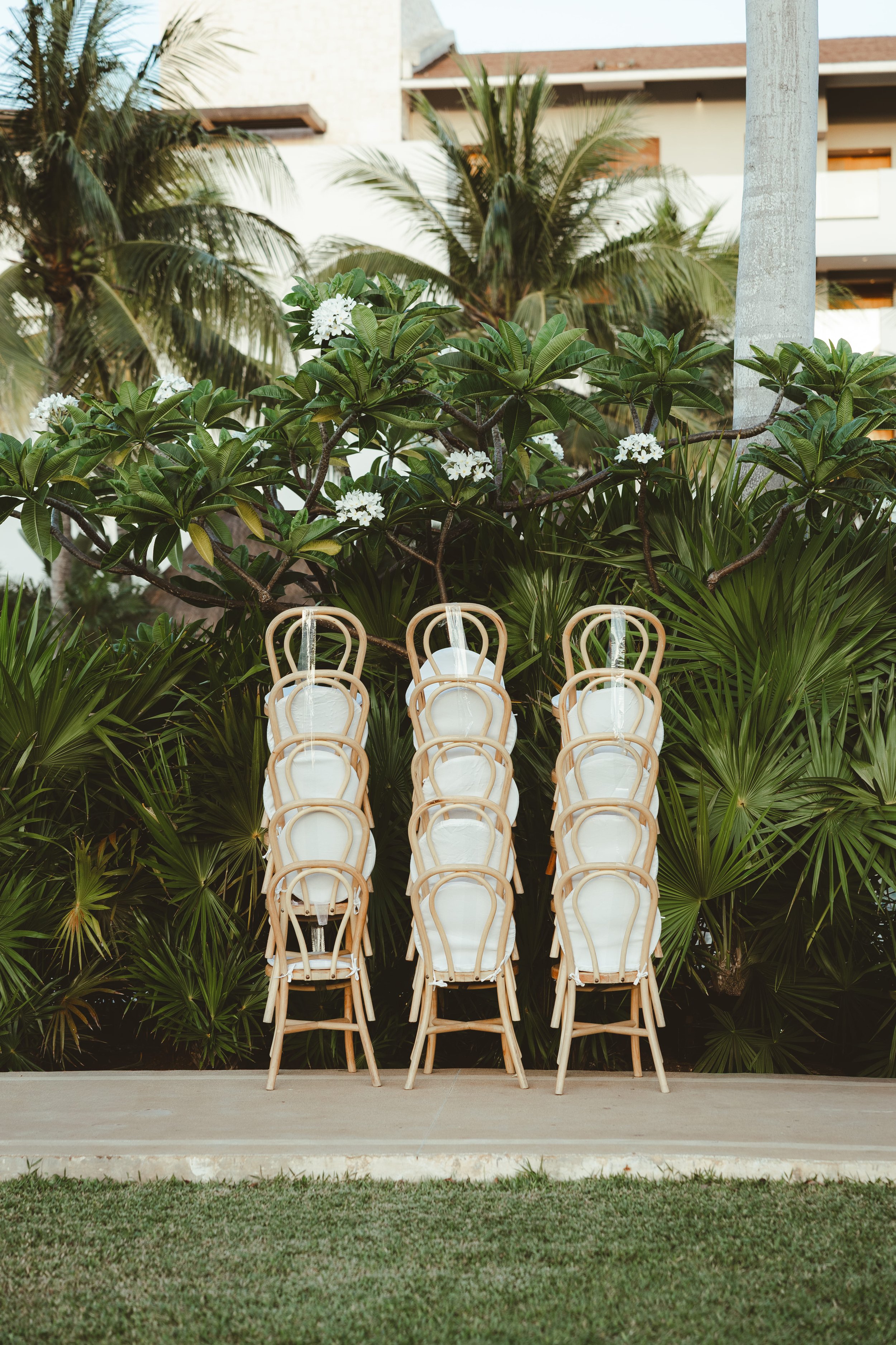 Chairs arranged outdoors in front of lush green plants and white flowers, with a building and palm trees in the background.