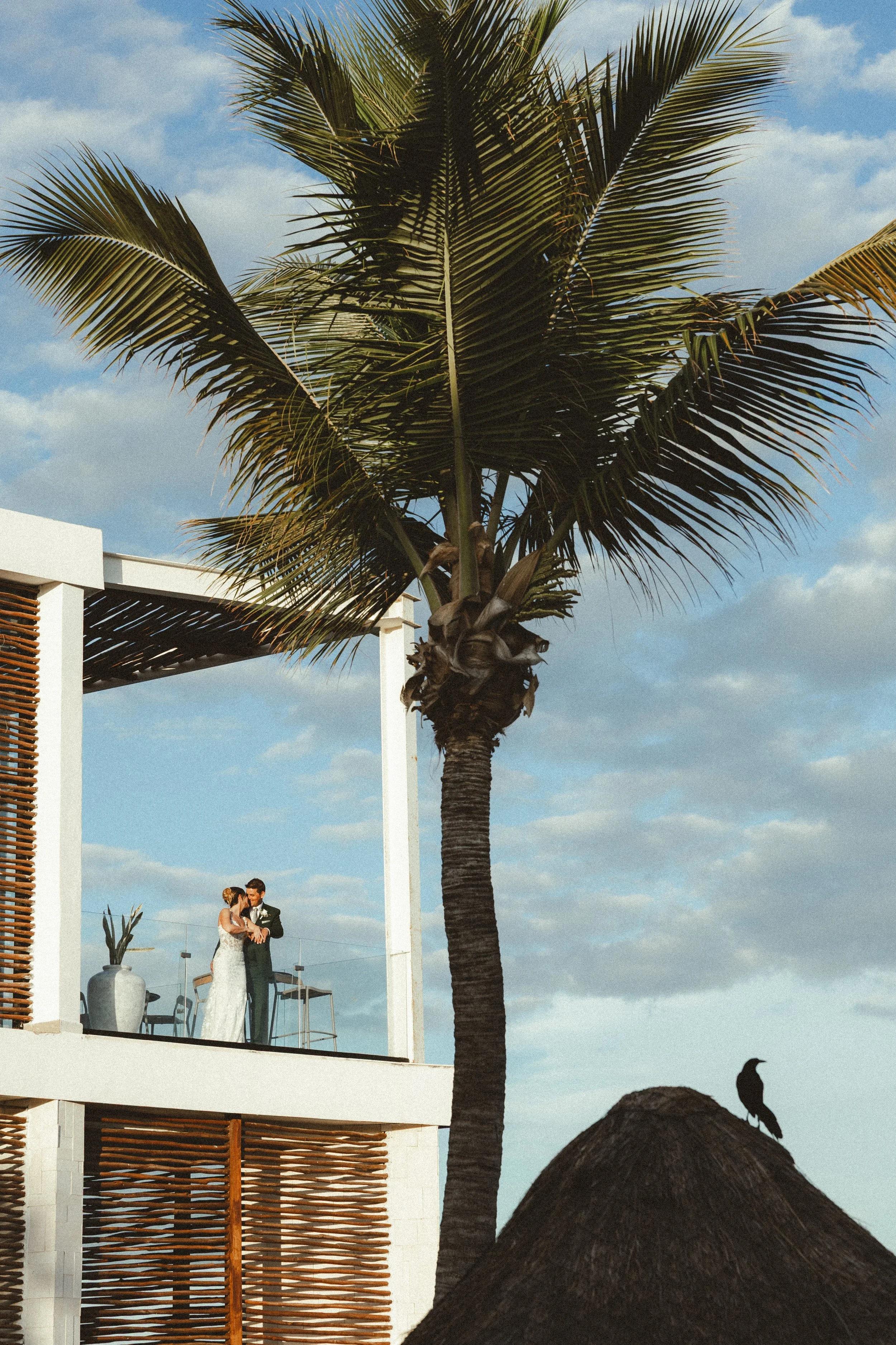A couple, dressed in wedding attire, standing on a balcony under a large palm tree with a clear sky in the background.