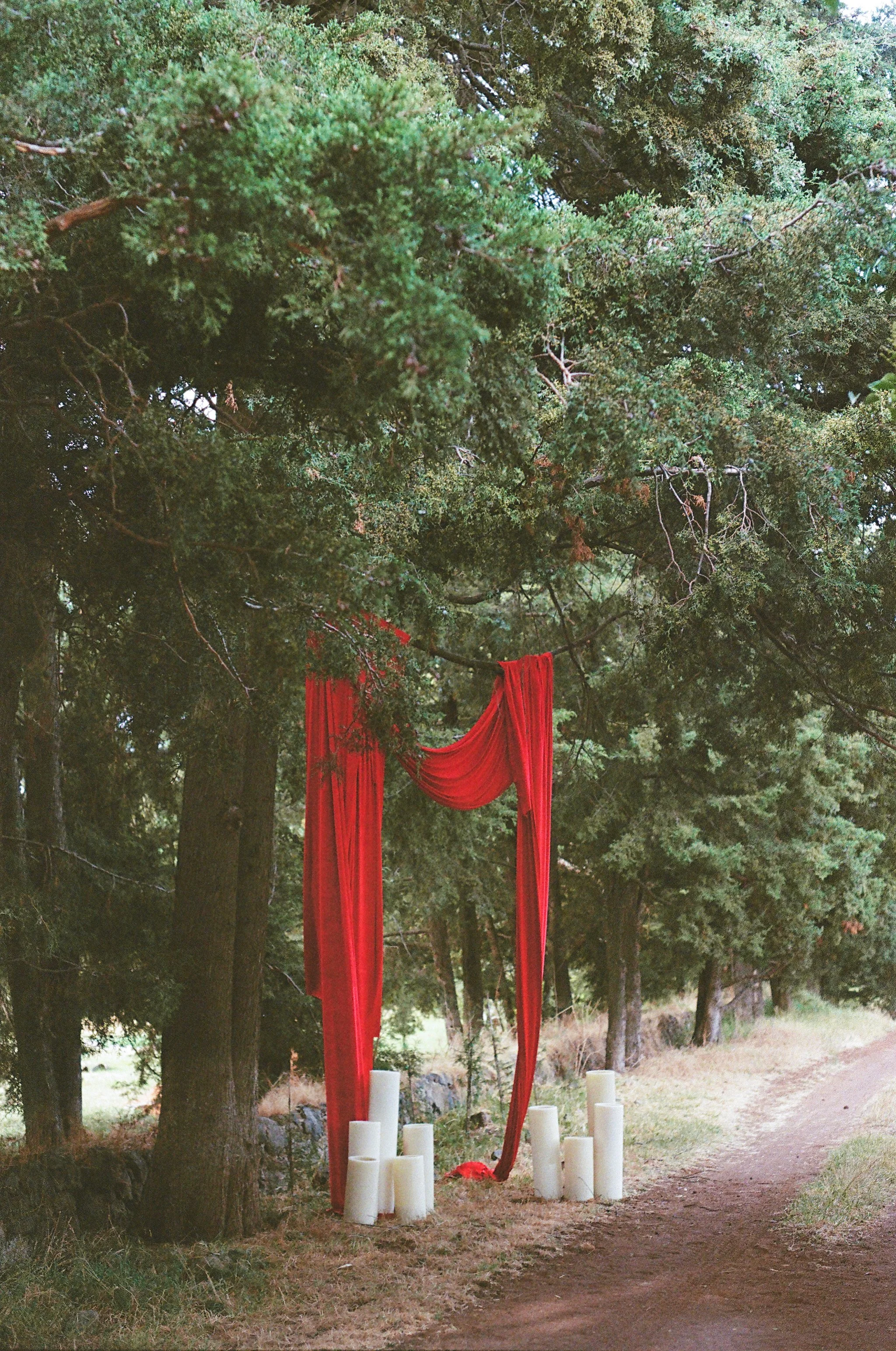 Red fabric drapes hang between pine trees with white candles at their base, creating an outdoor decorative setup in a forested area.