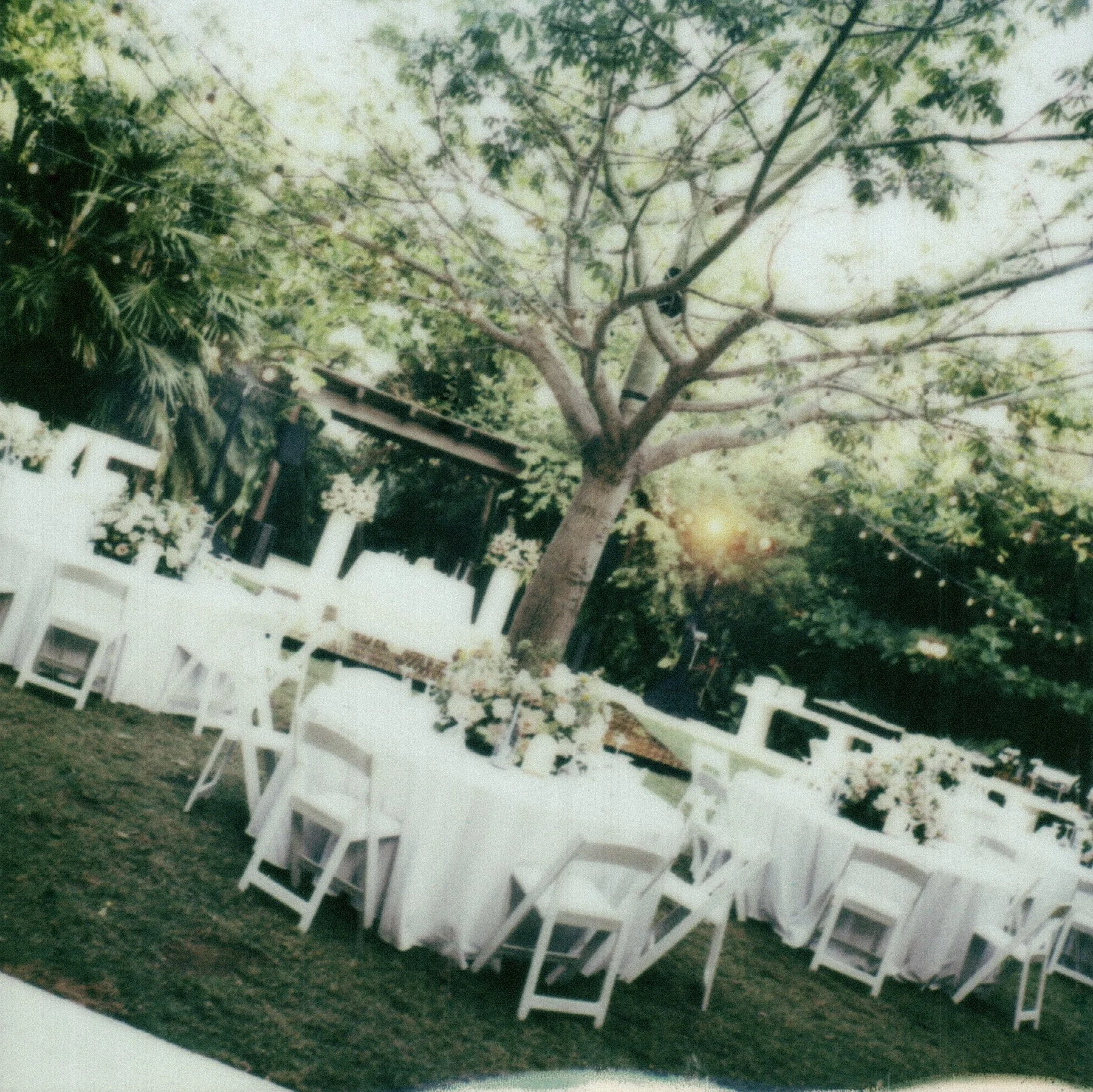 Elegant wedding Reception set up in the jungle in Tulum, Mexico