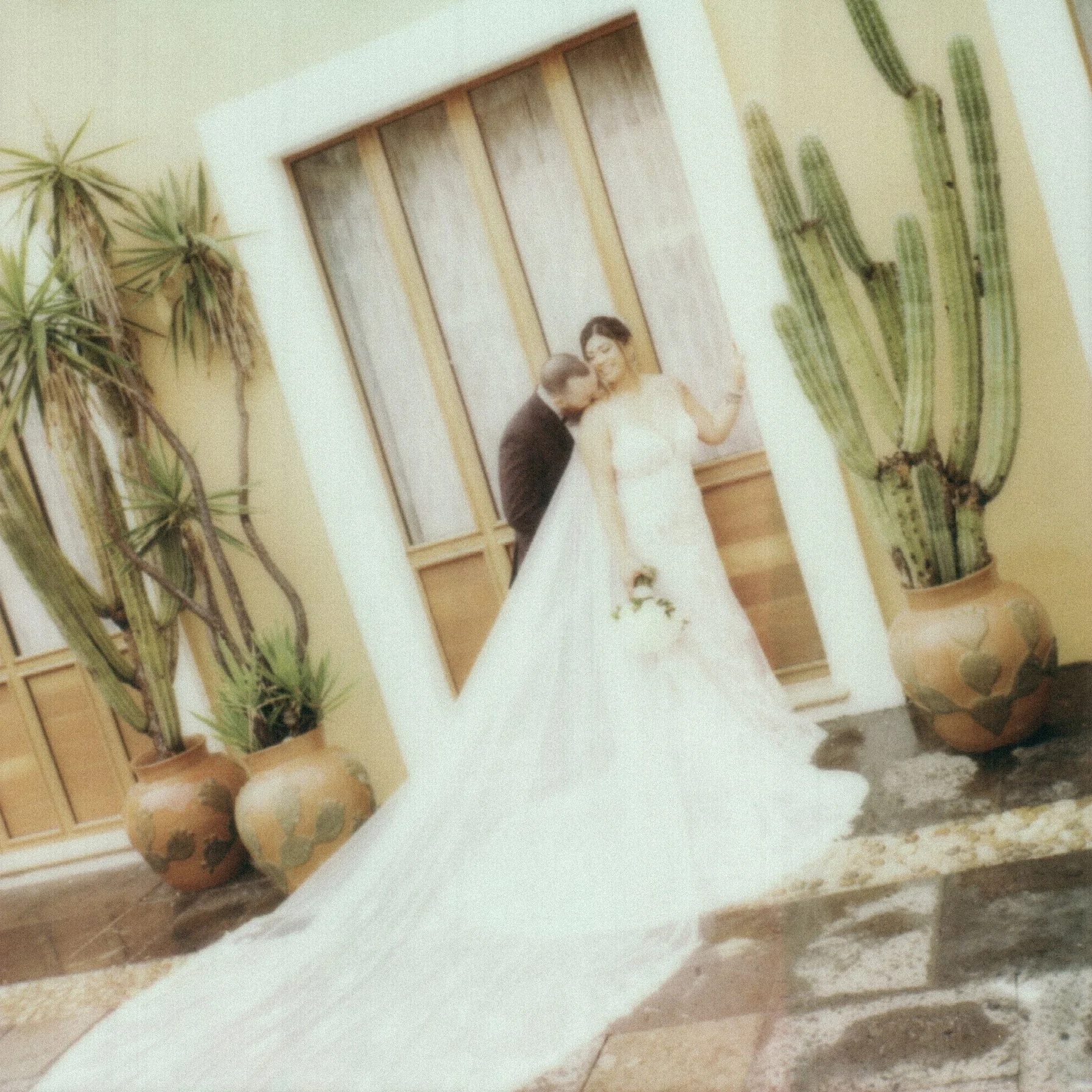 A bride and groom dancing at their wedding reception in a room decorated with potted cactus plants and a wooden wall in the background.