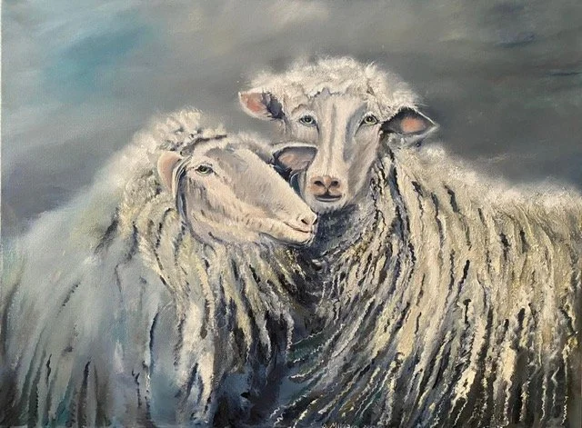 Pecore Longwool