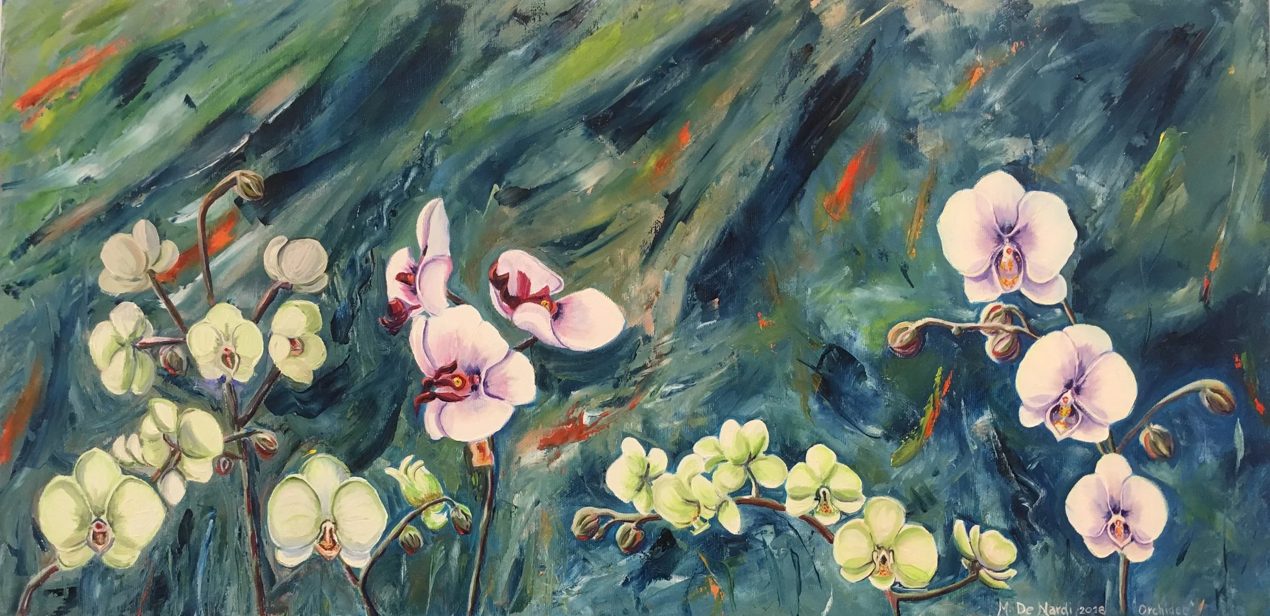 Orchidee