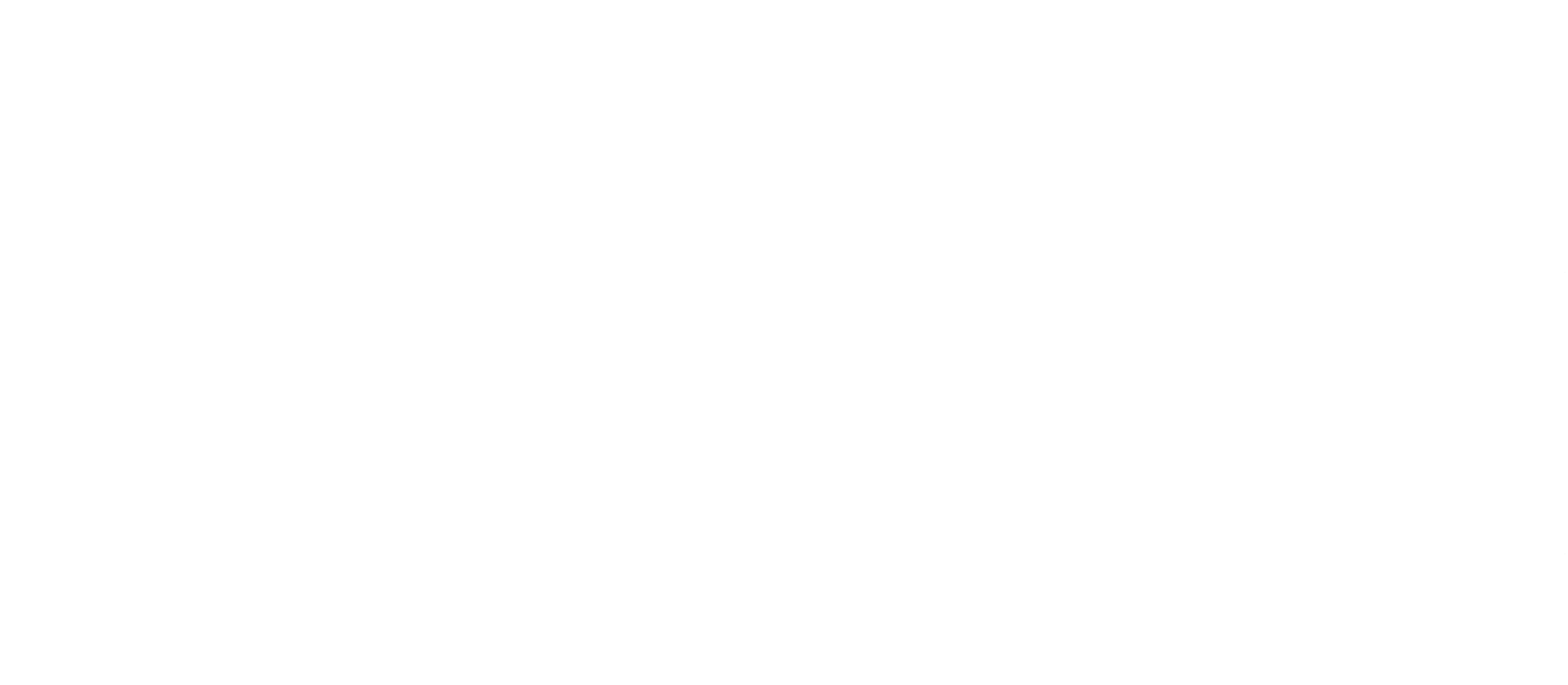Tricia Stone
