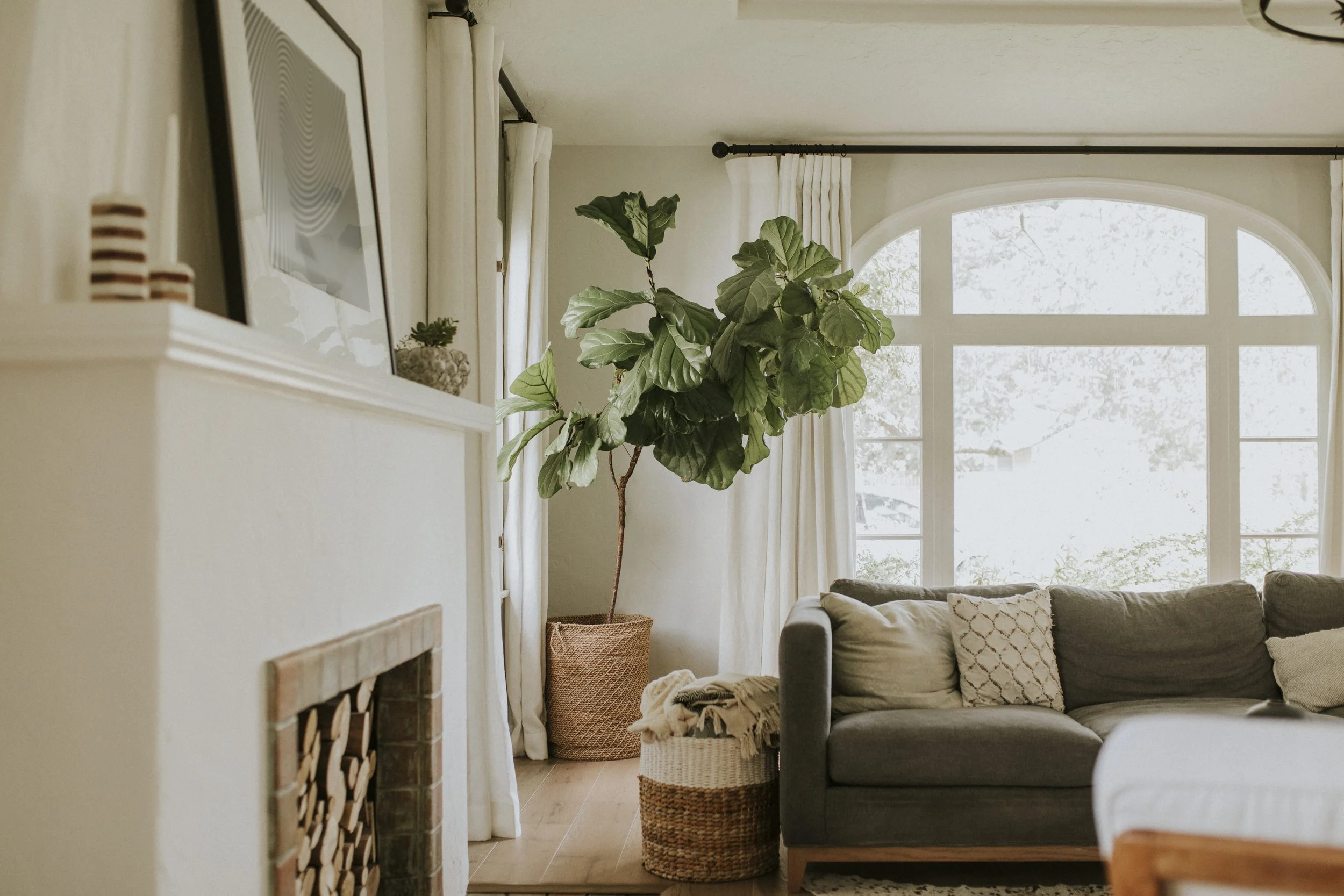 Transitional Living Room