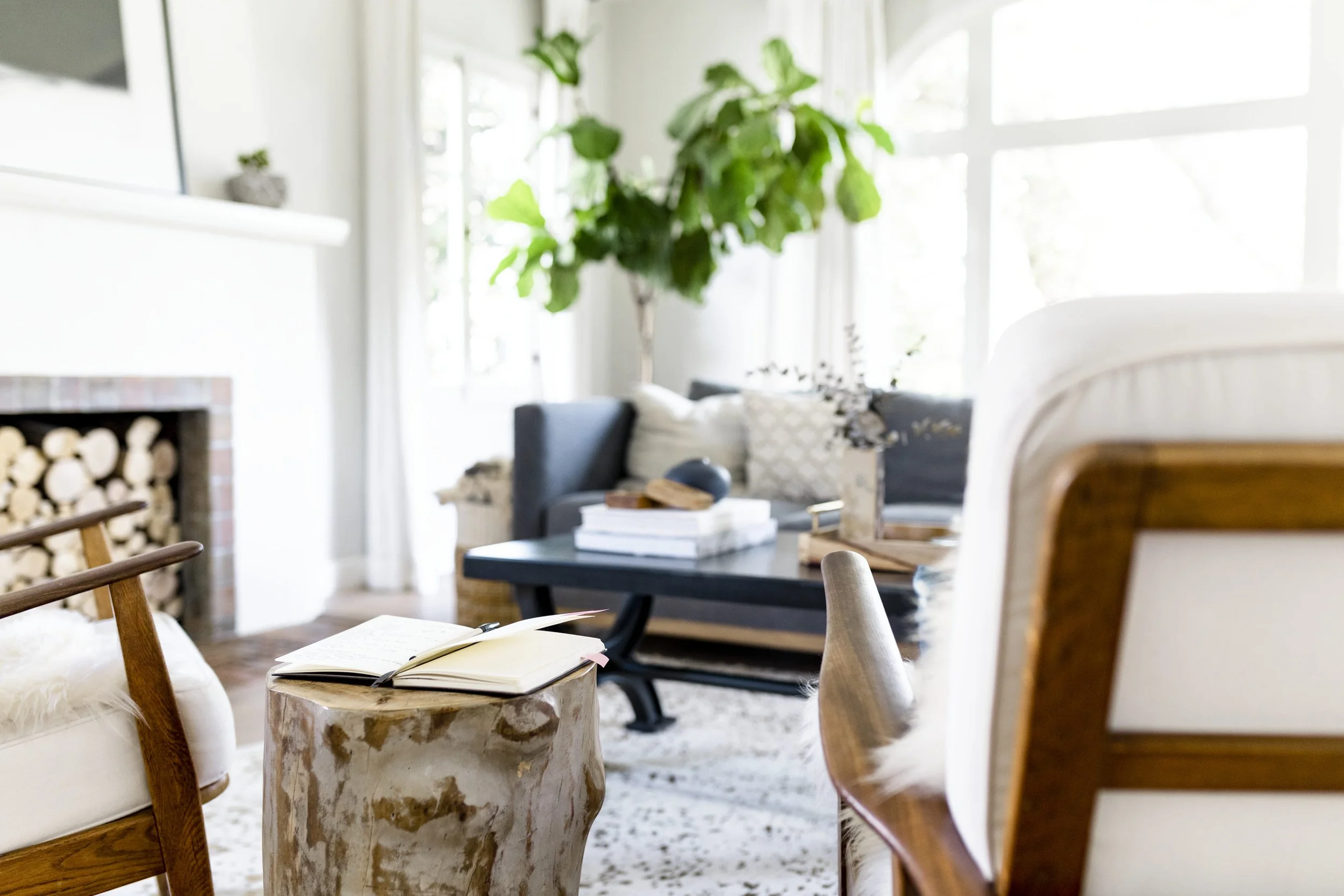 Transitional Living Room