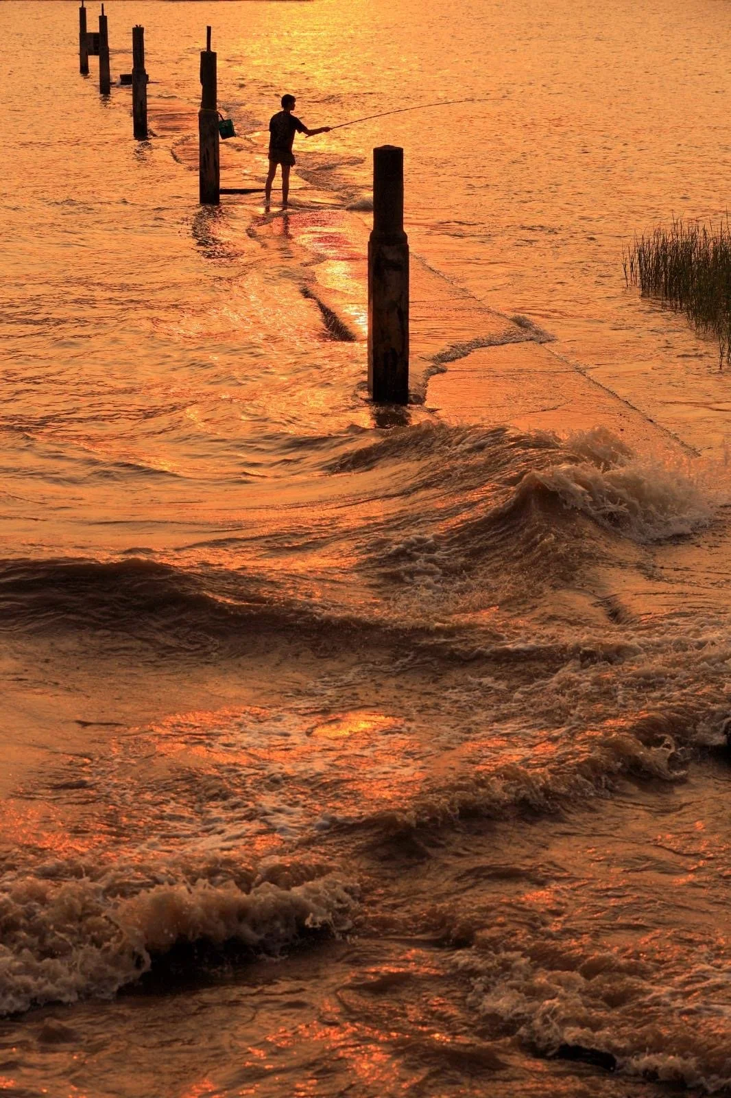 Part of splendid living is trusting the waters