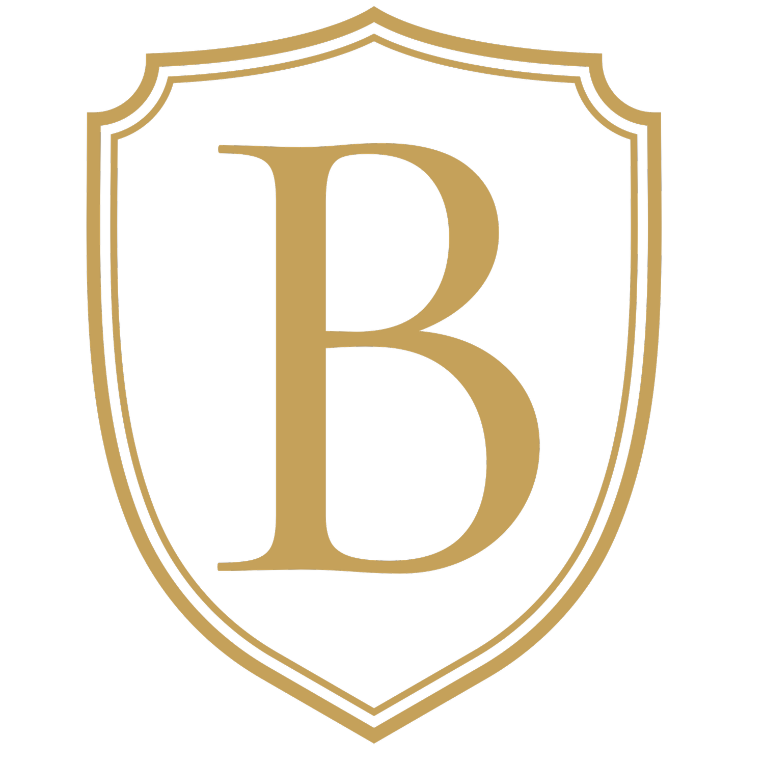 Borgal Valuation Group Inc.