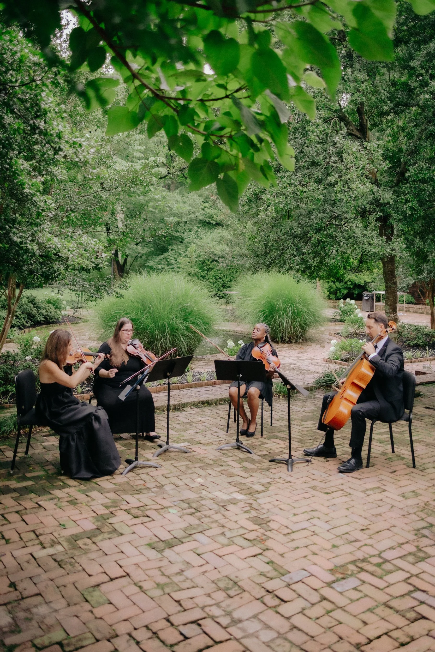 A group of four musicians playing string instruments outdoors in a lush green garden, seated on black chairs on a brick-paved area.
