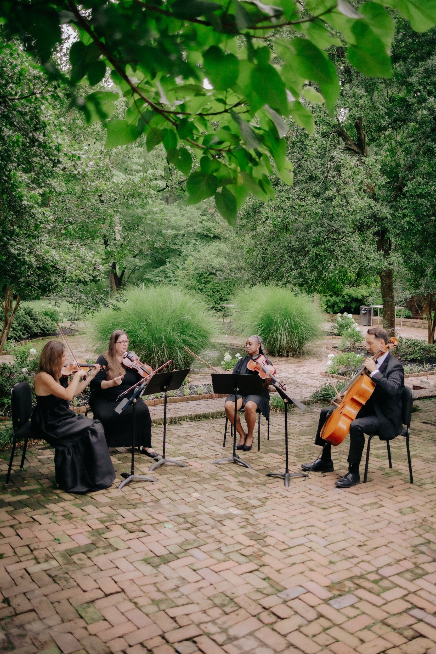 A group of musicians playing string instruments outdoors on a brick patio surrounded by greenery and trees.