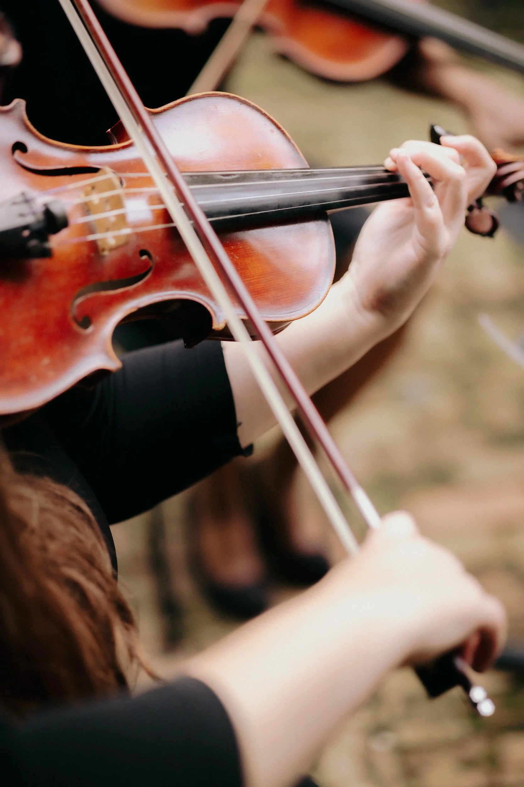 Close-up of a person's hand playing a violin, focusing on the instrument and the hand on the strings.