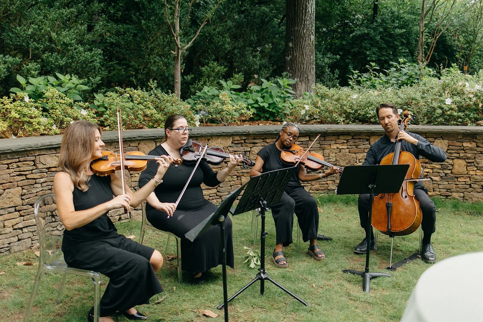 Four musicians playing string instruments outdoors, seated in a row with a stone wall and greenery behind them.