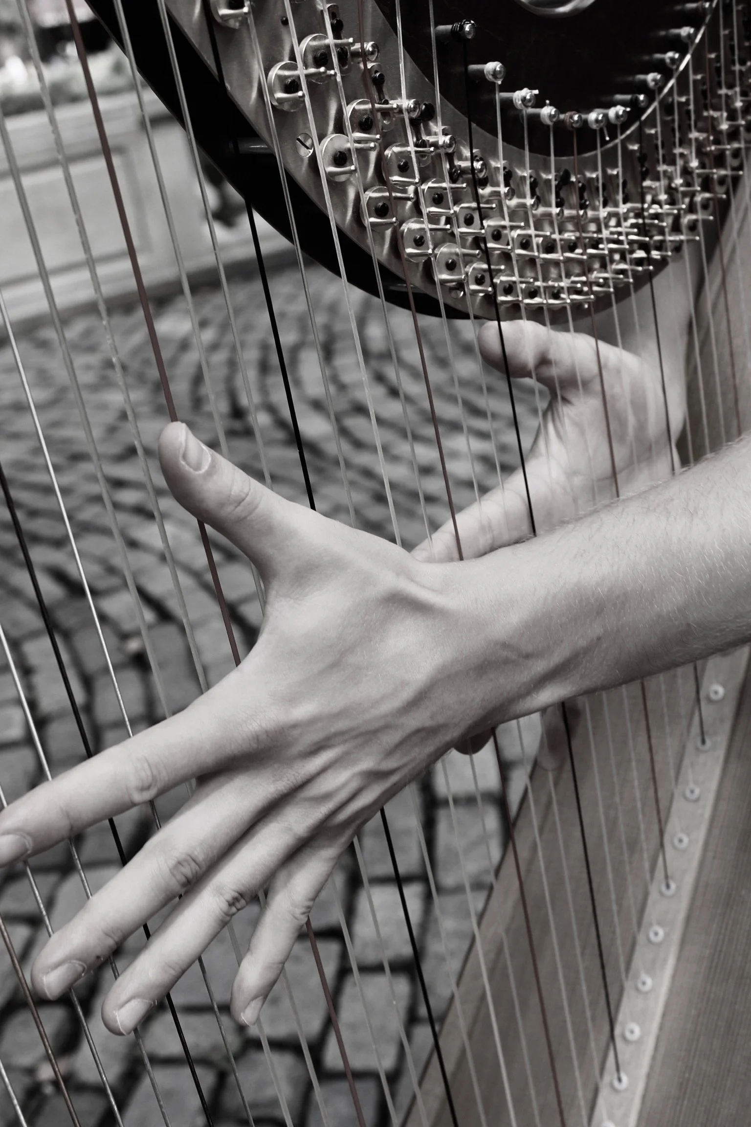 Photo by Ashley Vogler