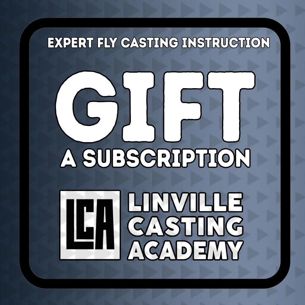 Gift card blue .jpg