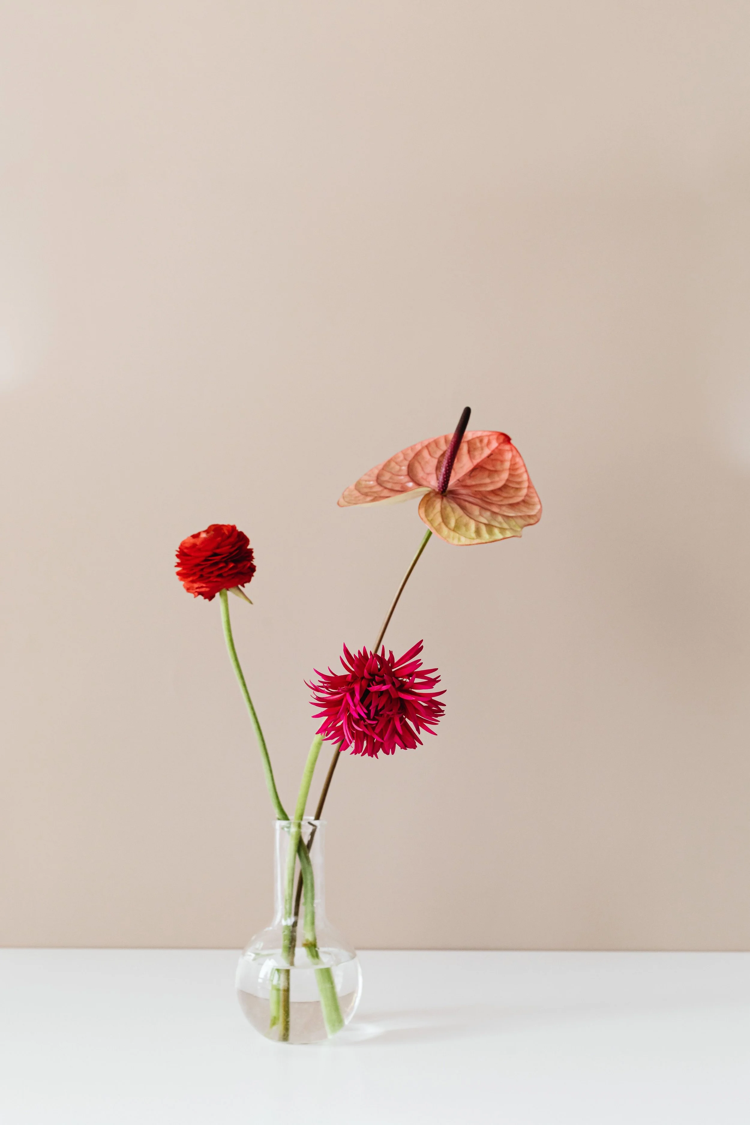 A clear glass vase holding four flowers: a red ranunculus, a pink anthurium, a pink dahlia, and a red spider mum, against a neutral background.