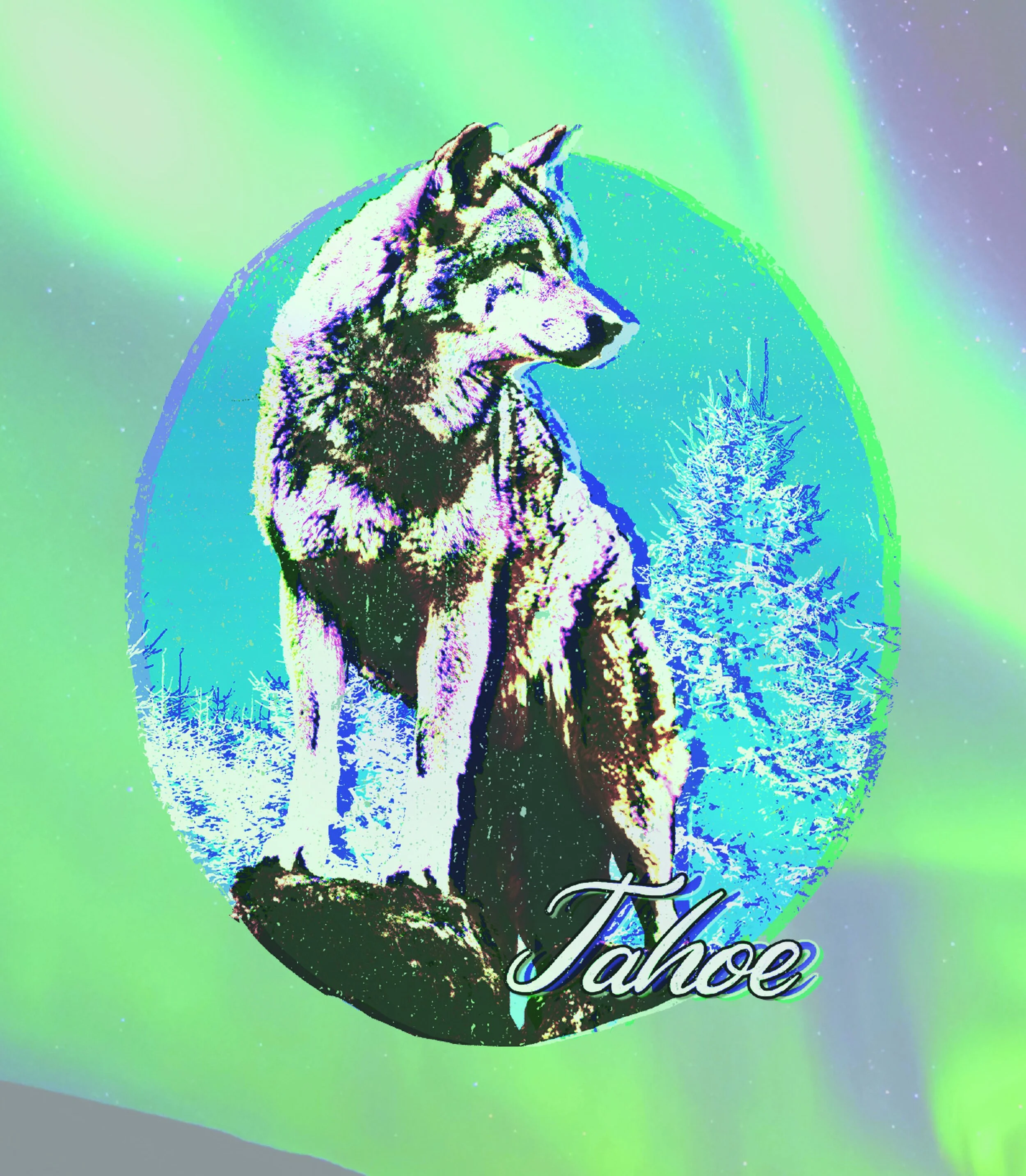AURORABOREALIS WOLF.jpg