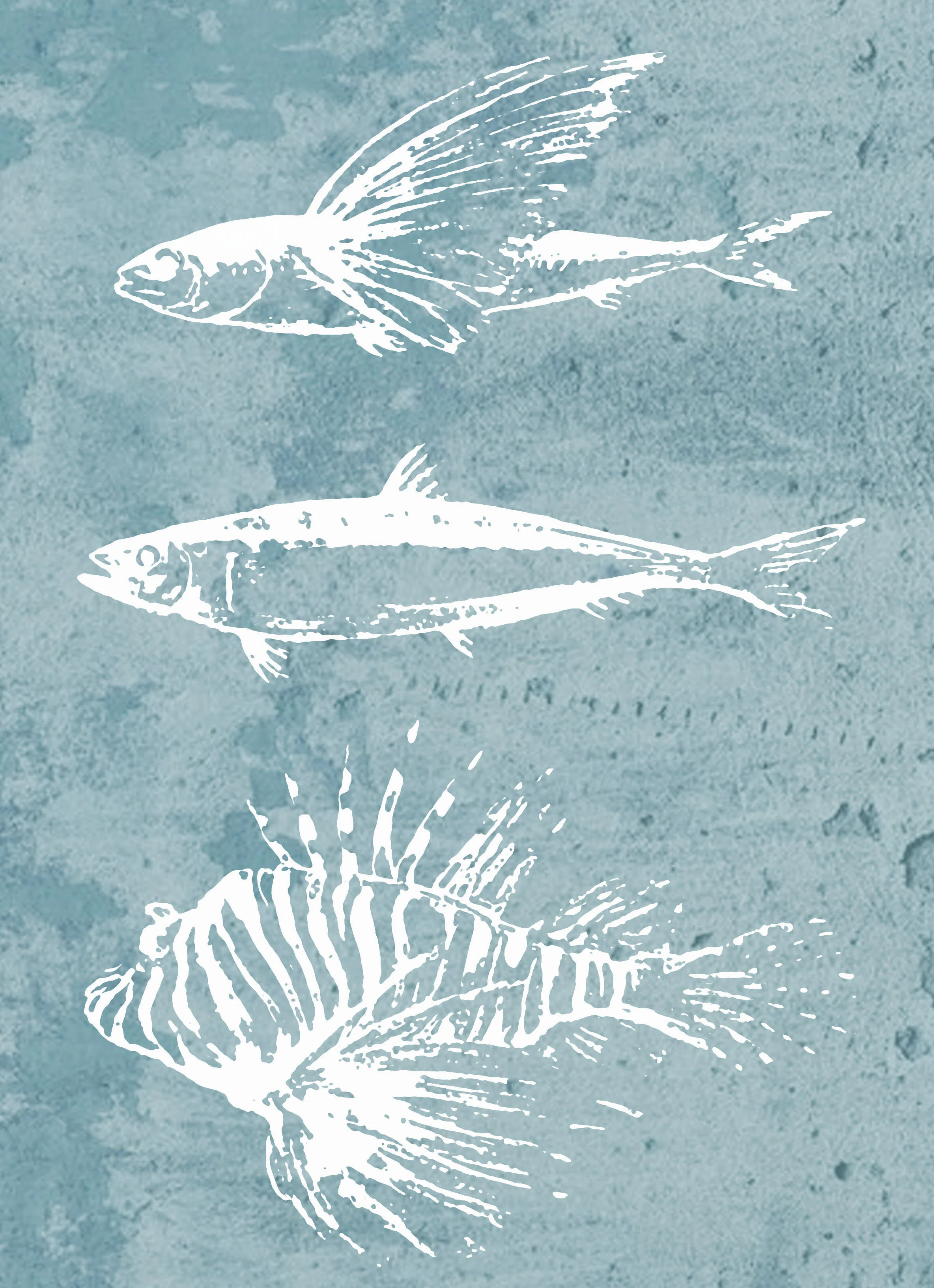 aquatriofish.jpg