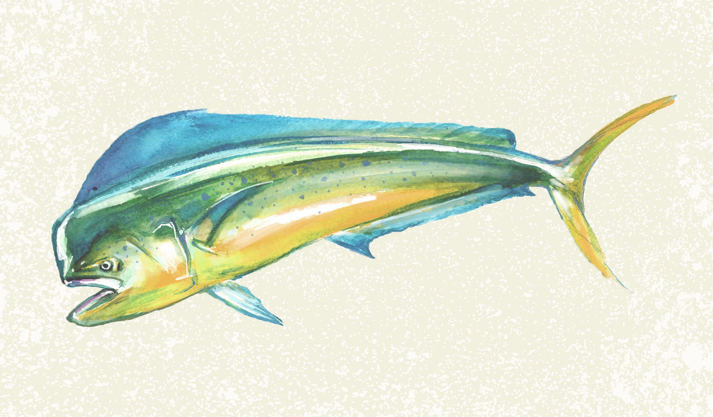 mahimahi.jpg
