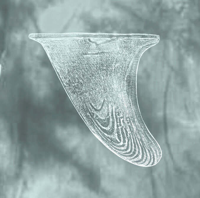 fin wash green copy.jpg