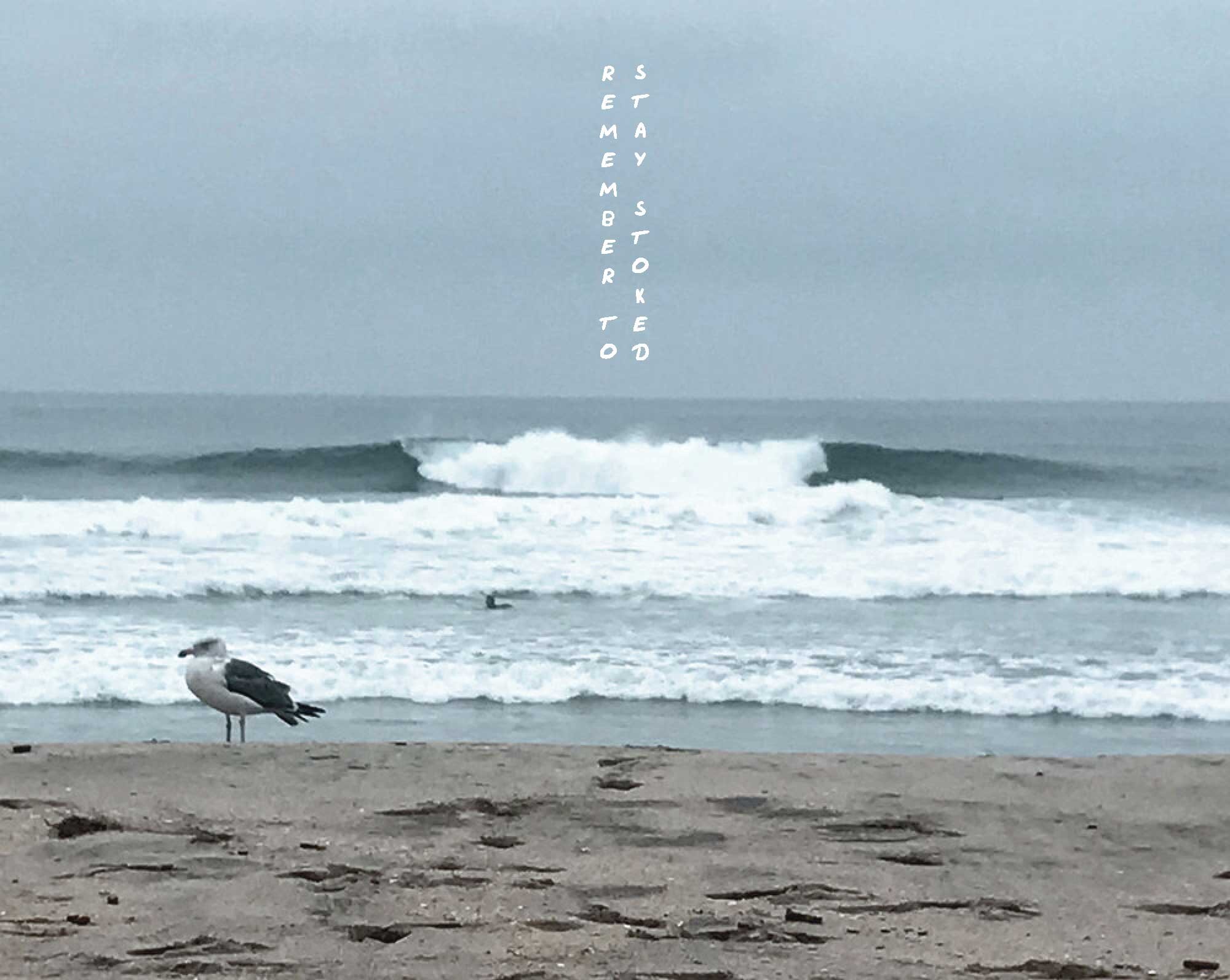 STAY STOKED-01.jpg