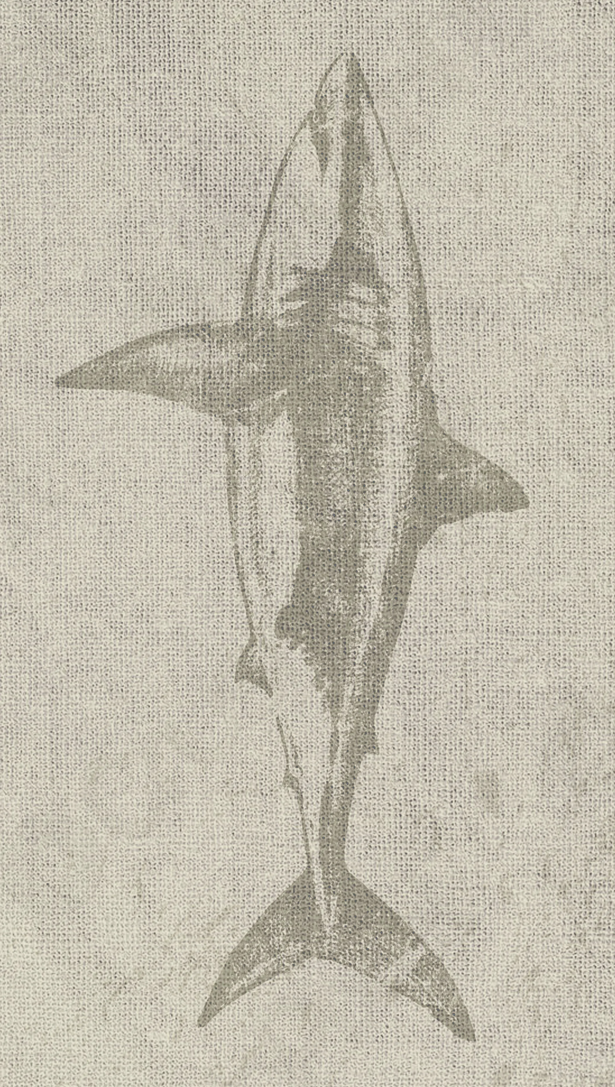 sharkfabric.jpg
