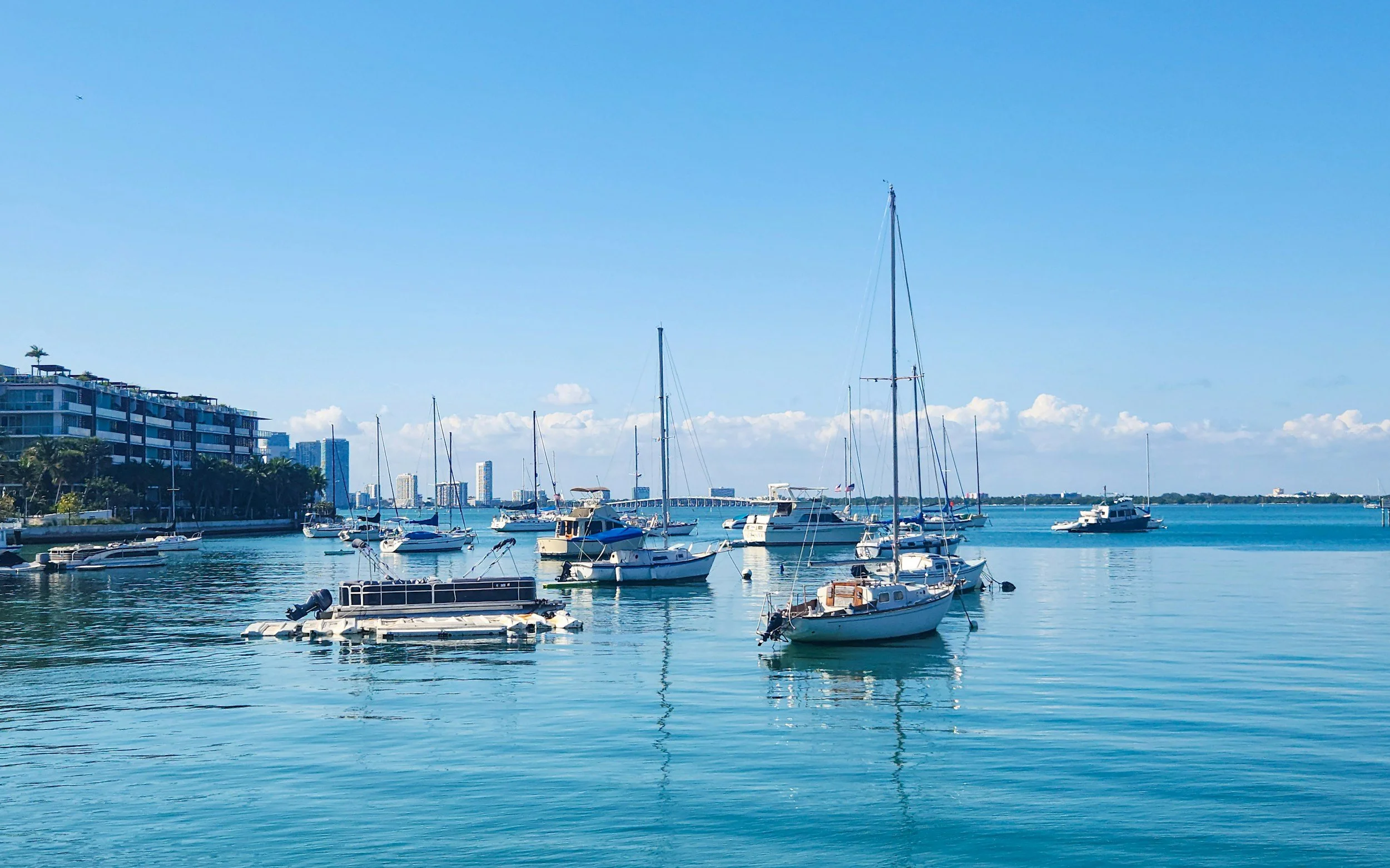 A marina with numerous sailboats and yachts anchored in the water, with modern high-rise buildings and palm trees along the waterfront in the background, under a clear blue sky.