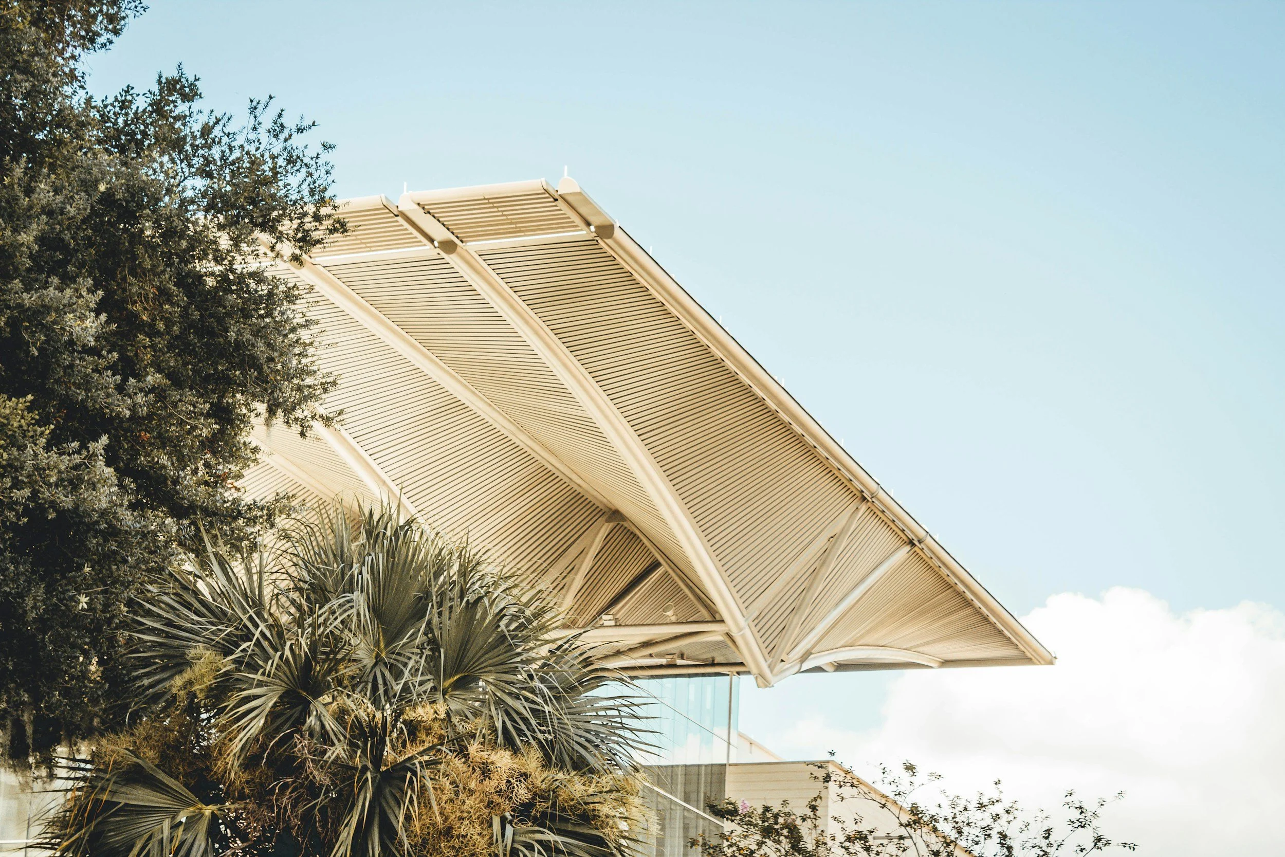 An outdoor scene featuring a modern curved building roof with parallel slats and a large green bush with spiky leaves in the foreground, against a clear blue sky.