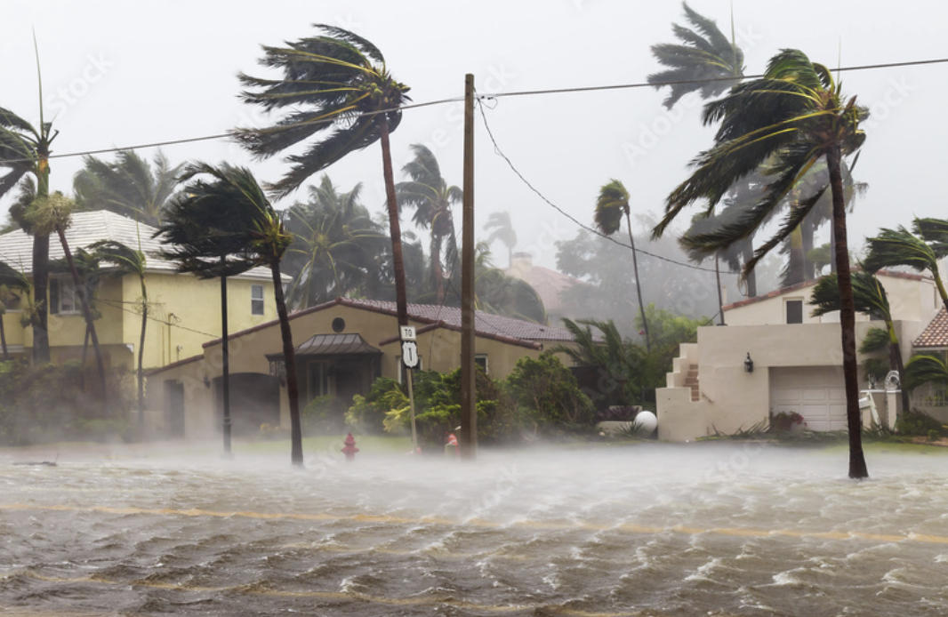 Hurricane with strong winds knocking over palm trees in a flooded residential neighborhood.