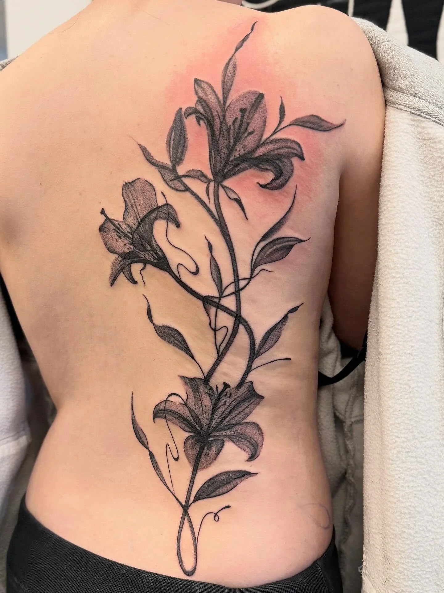 Luci did this all in one session without even flinching - my hero 🖤