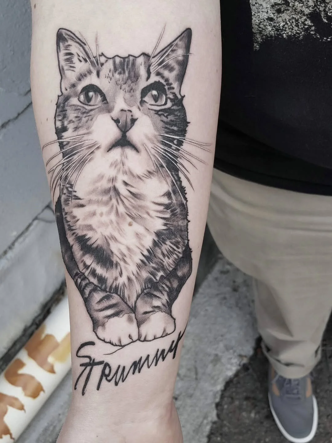 A kitty named Strummer.

Message me to schedule!