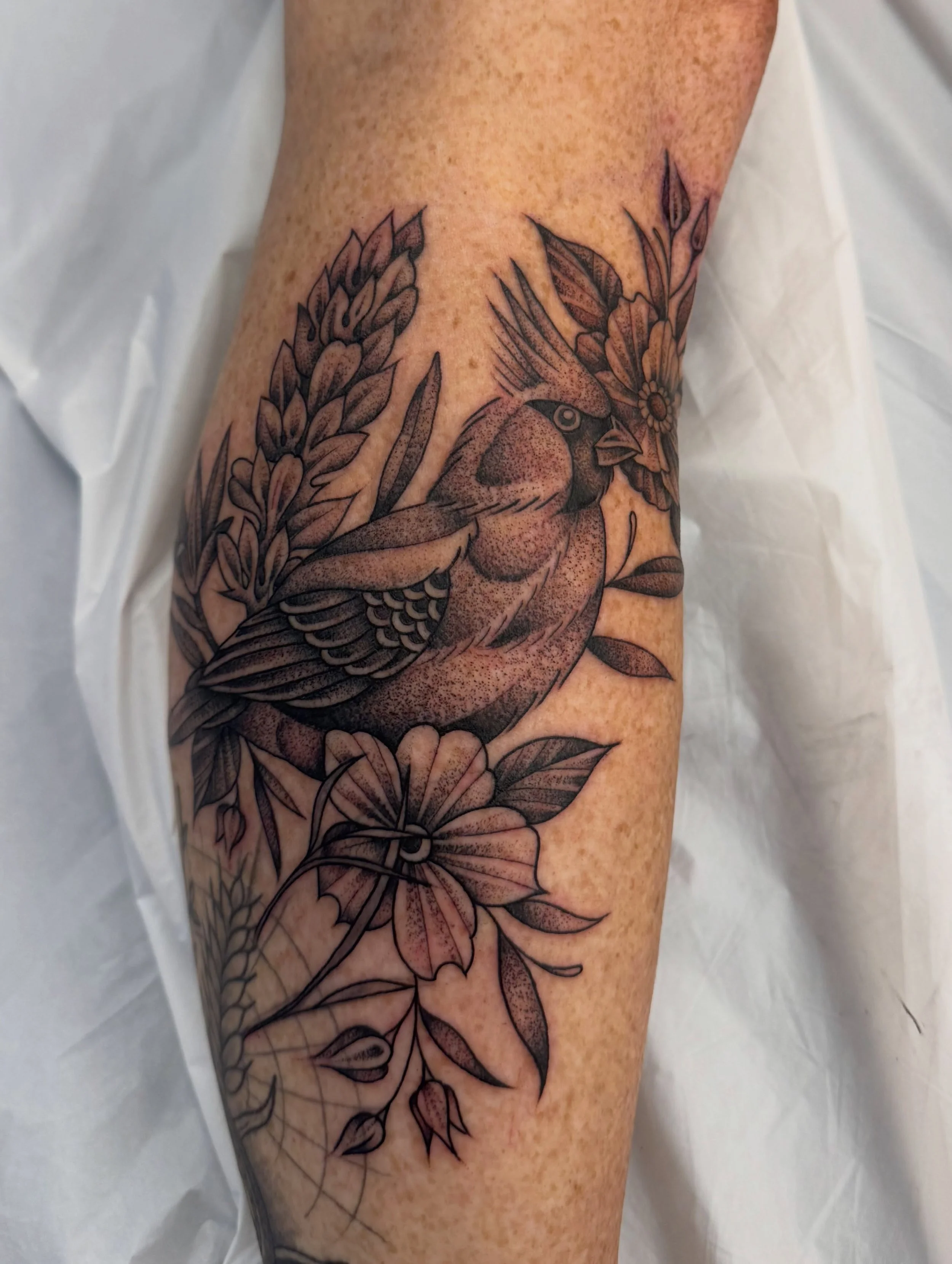 Some favorites from the last few weeks
@hearttattoo605
