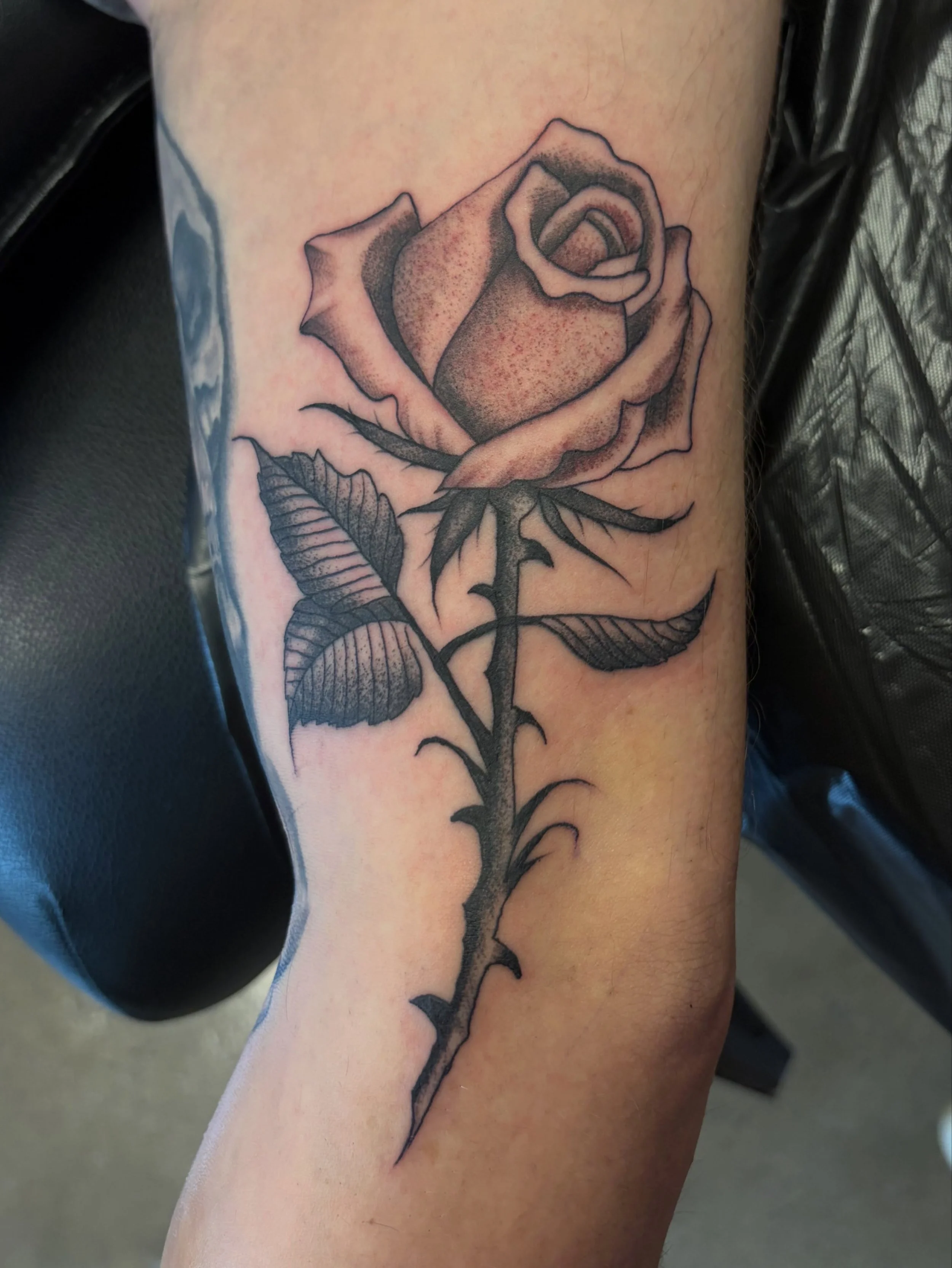 Back from a hiatus - would love to do more styles (fine line, stipple, etc.) so send me some suggestions‼️
.
.
.
.
#hearttattoo605 #tattooflash #tattooapprentice #americantraditional #tattooideas