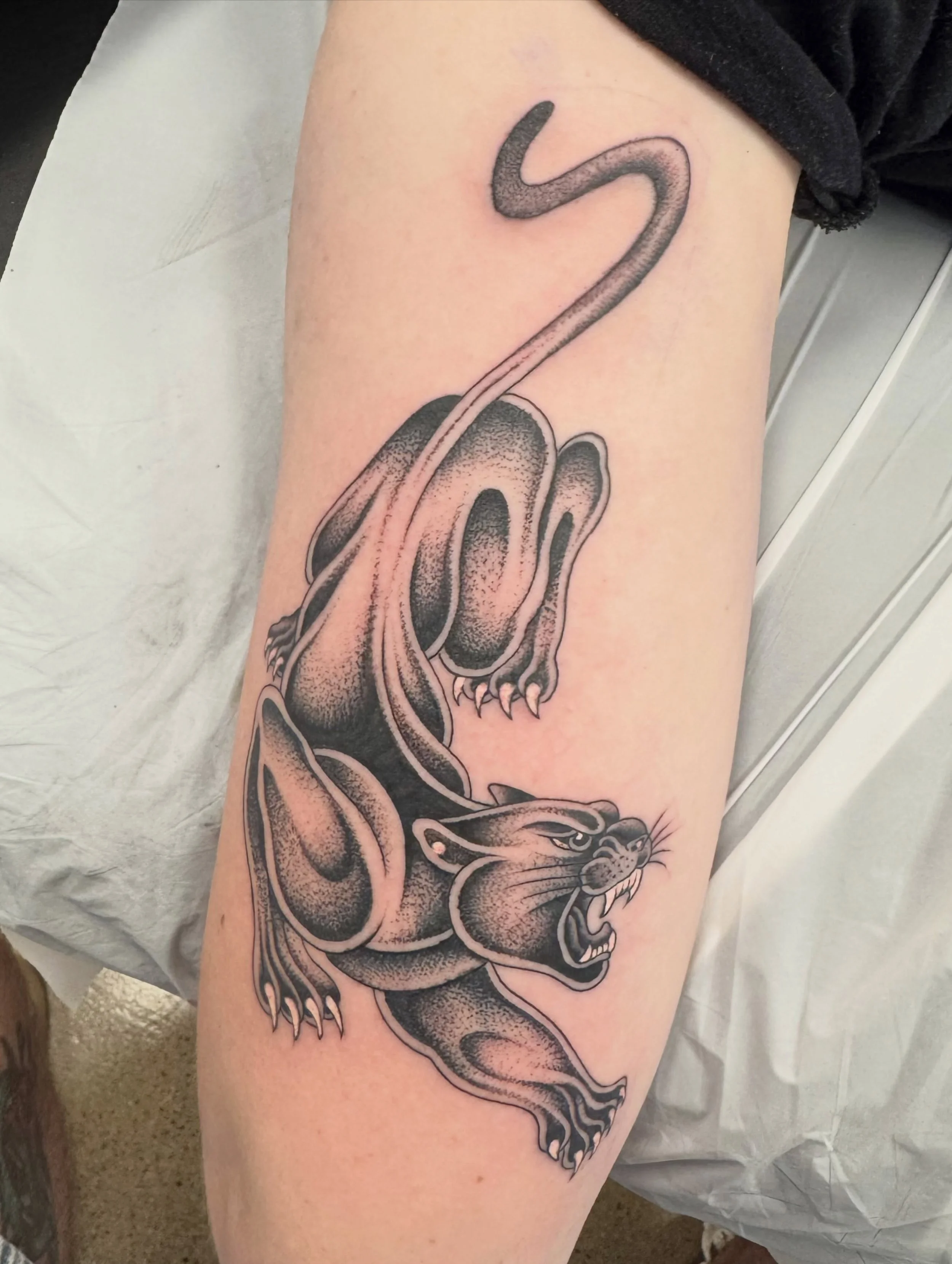It&rsquo;s been a good few weeks

@hearttattoo605