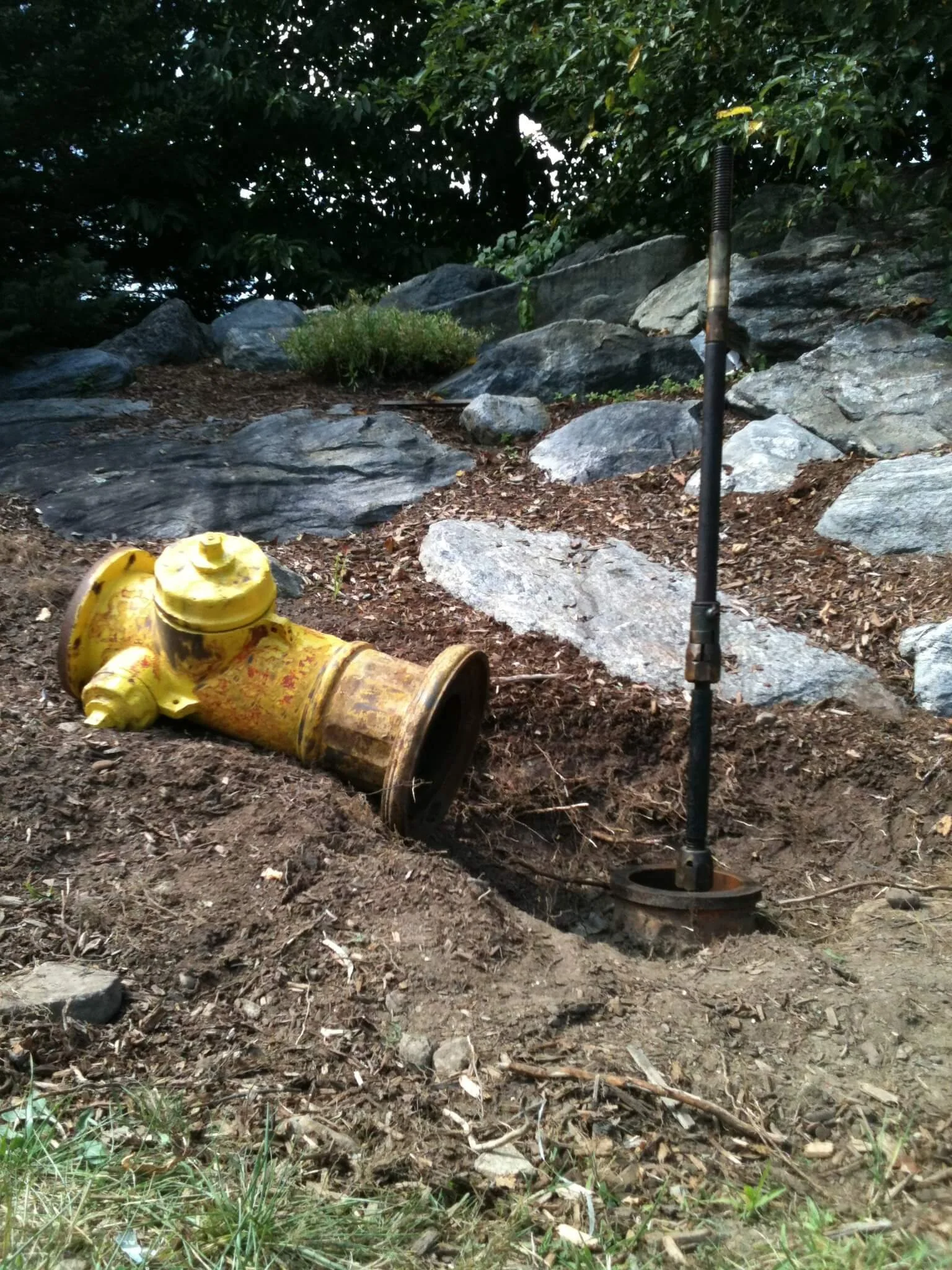 Before image of a hydrant repair and service.