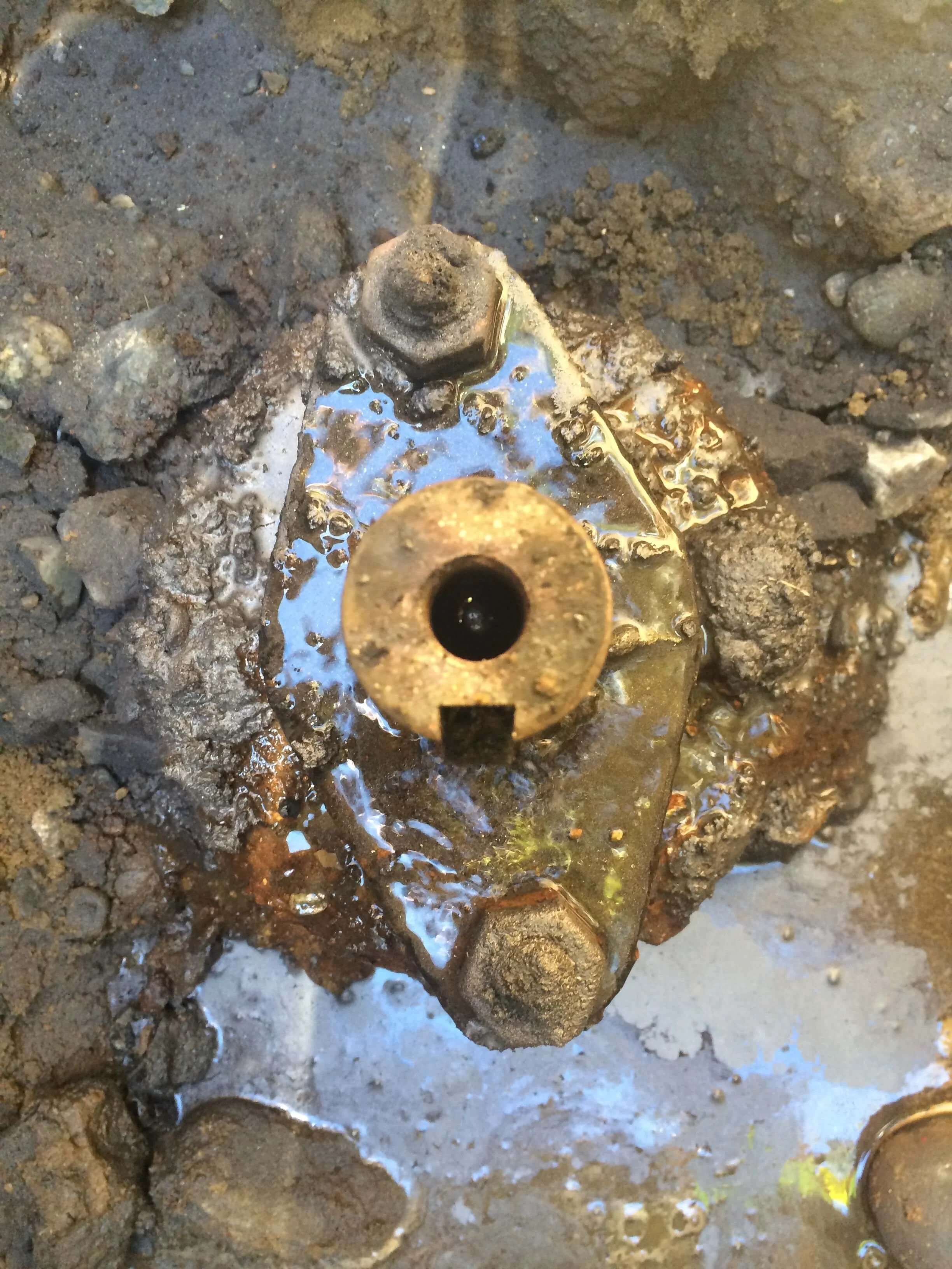 Gate nut repair.
