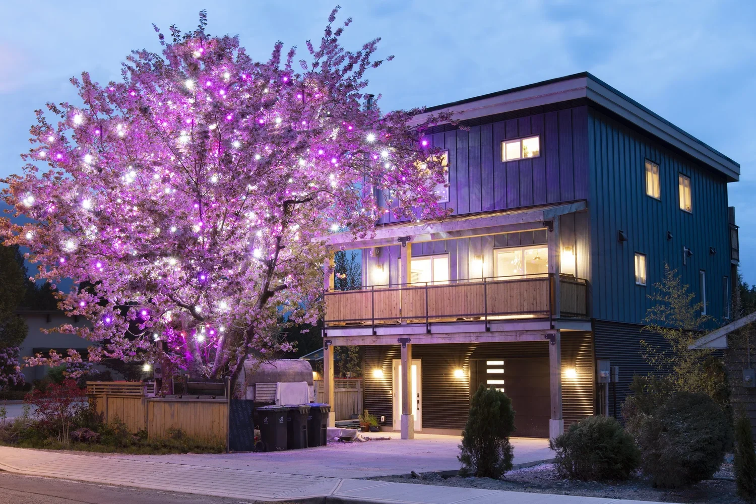 The Heart House - A modern multi-story house with a blue exterior, illuminated windows, and a balcony, surrounded by a blooming cherry blossom tree lit with colorful lights in the evening.