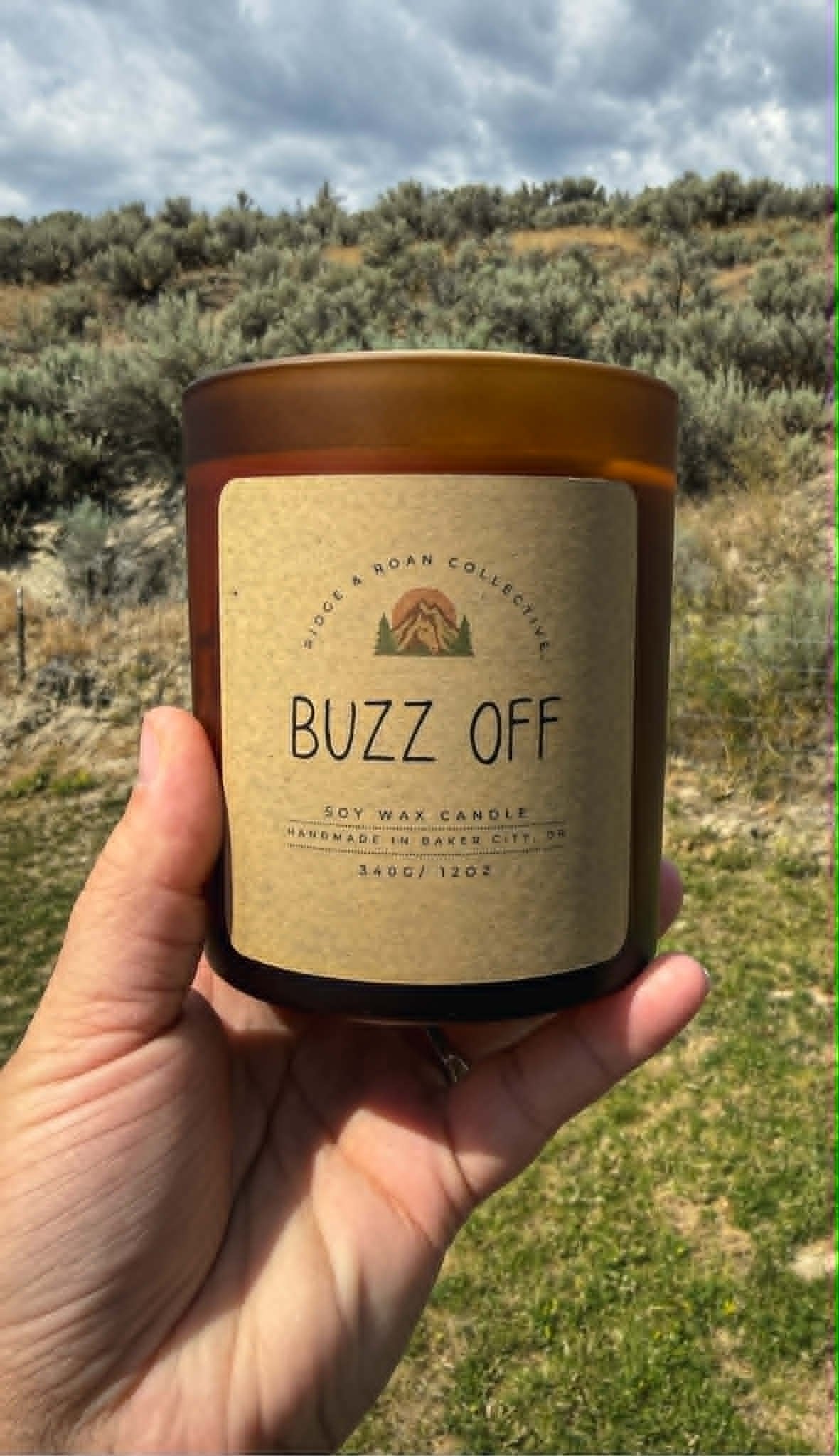 buzz off.jpg