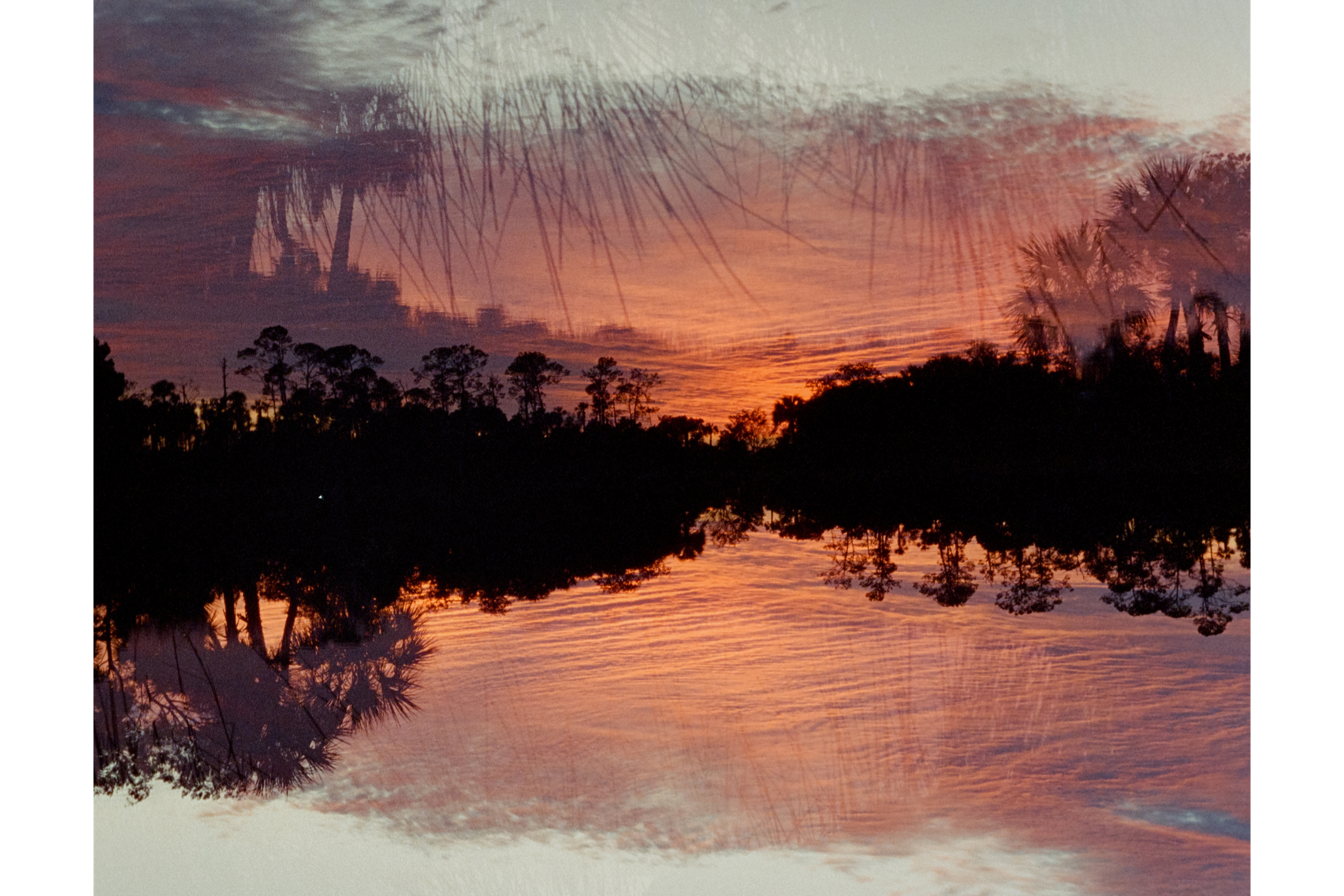 Pink Sky Flip 