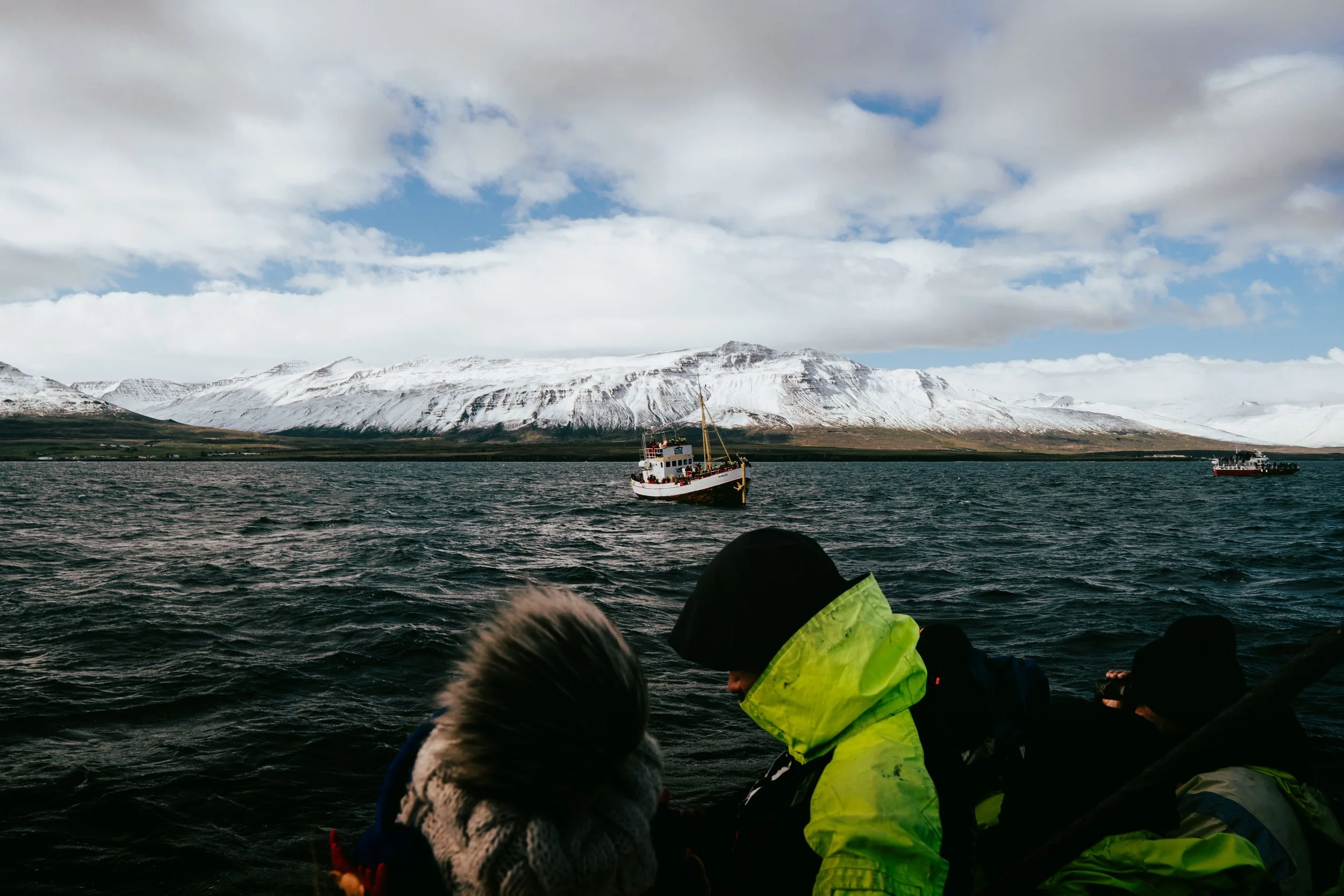 People in rain jackets on a boat looking out at snow-capped mountains and a cloudy sky.