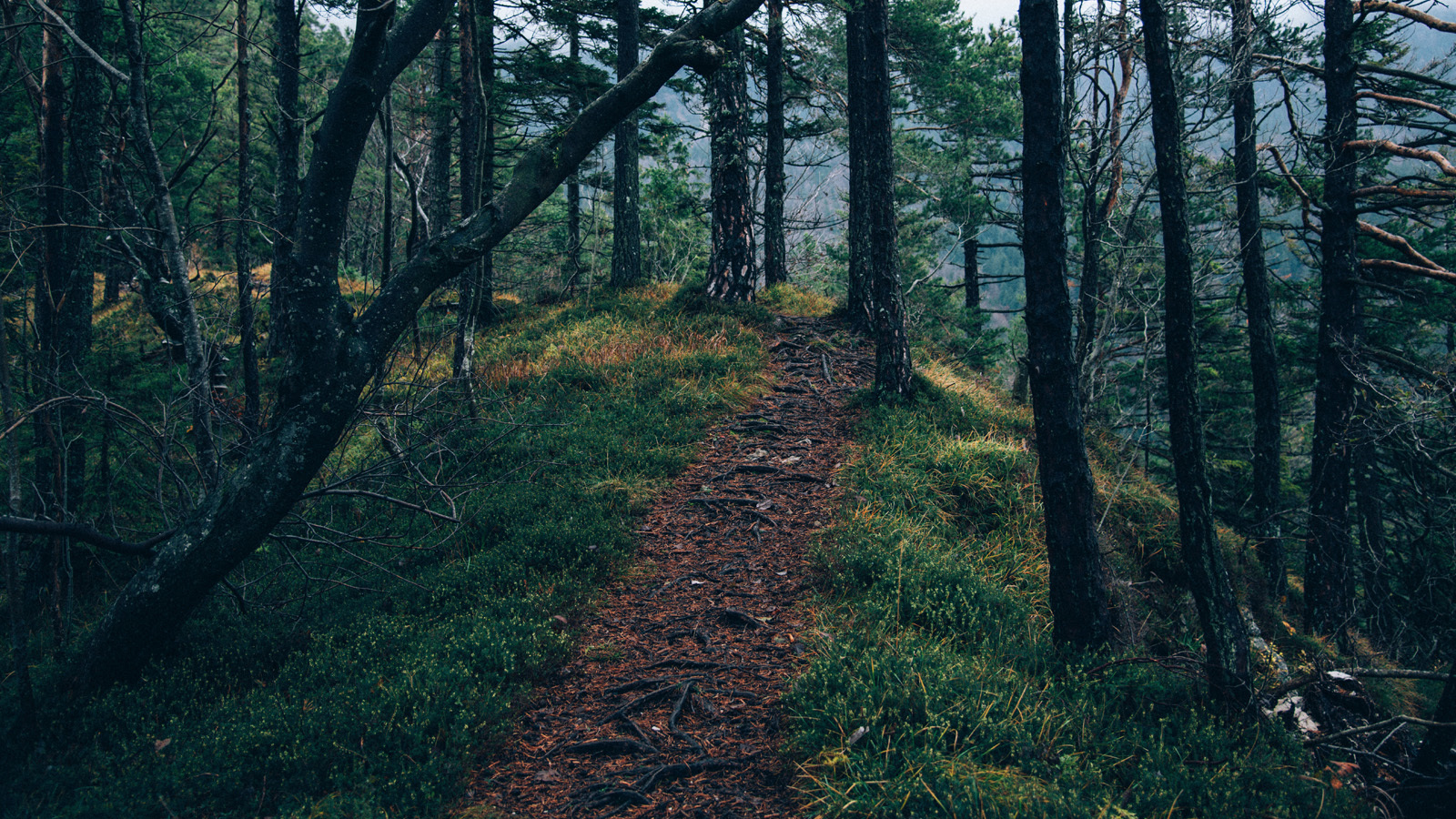 retreat+path.jpg