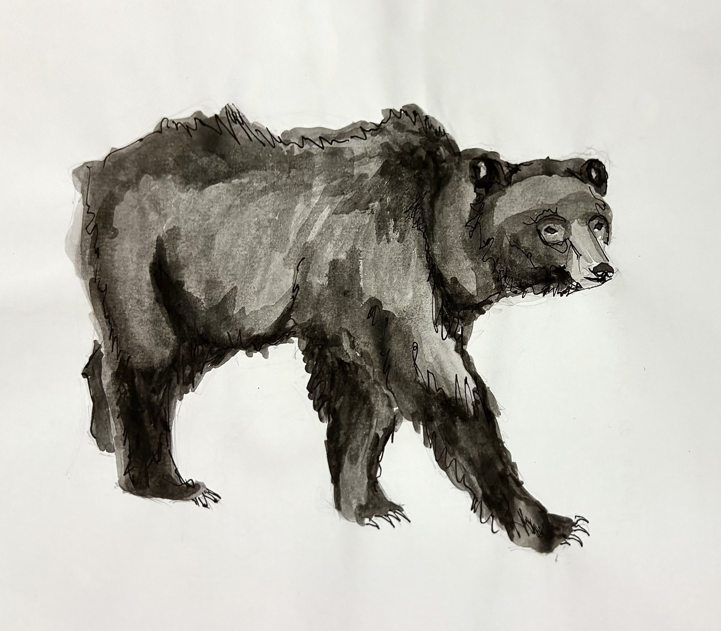 IMG_8200.jpeg