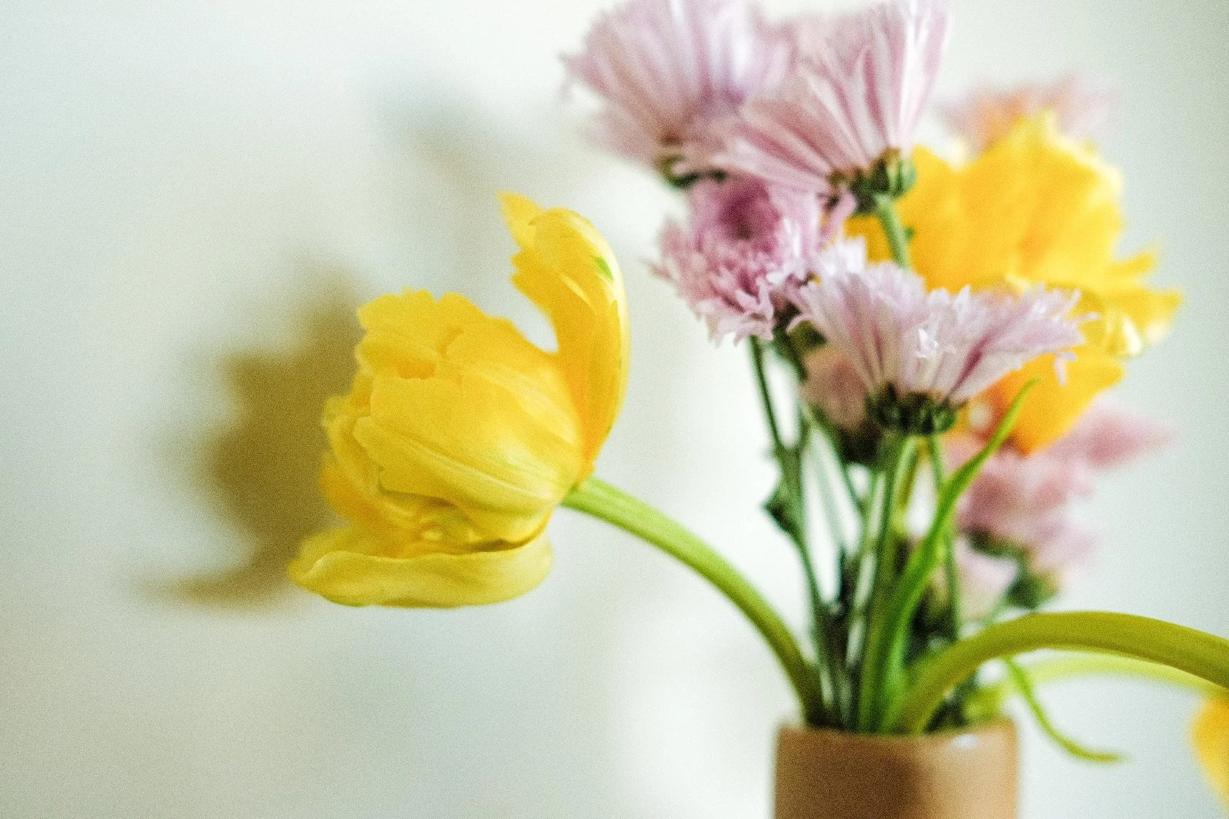 Close-up of a bouquet of yellow and pink carnations in a terracotta pot
