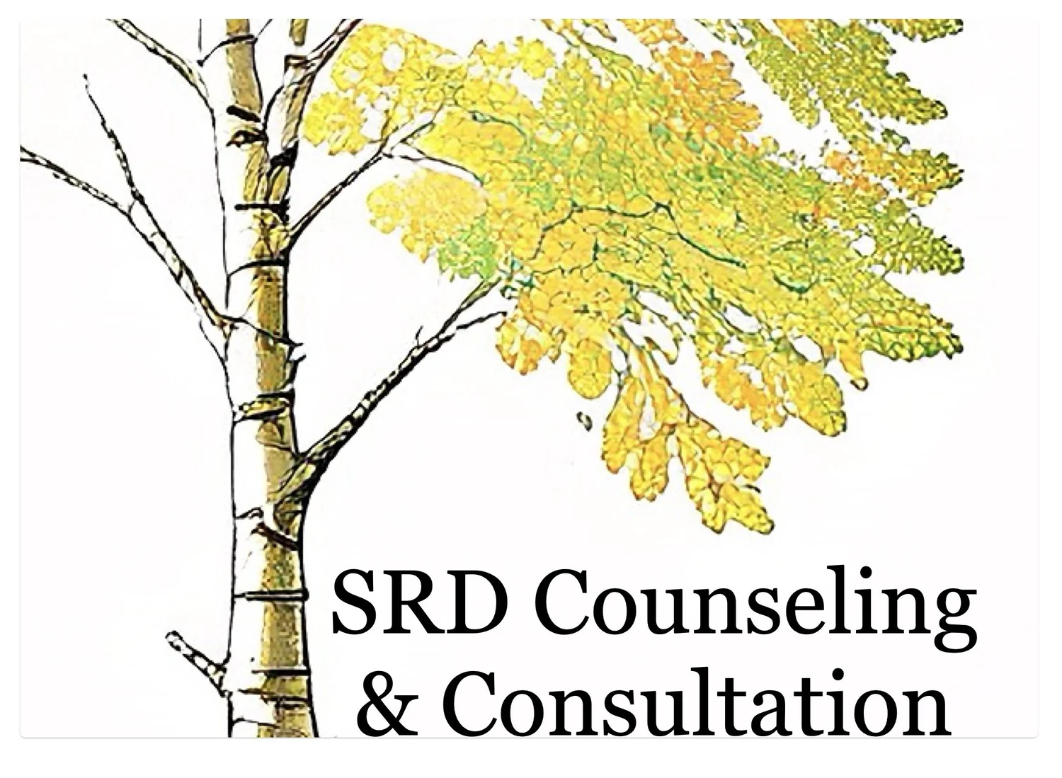 SRD Counseling and Consultation