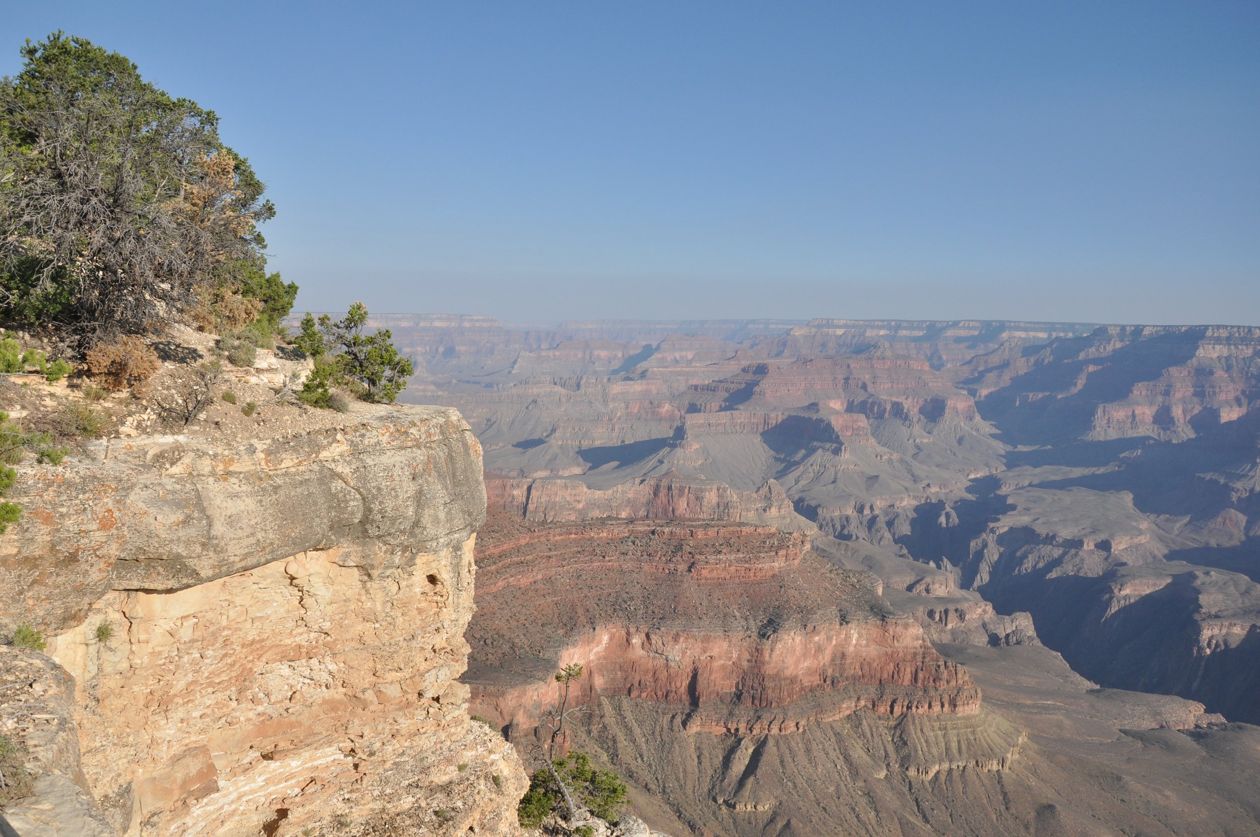 DSC_0398.JPG
