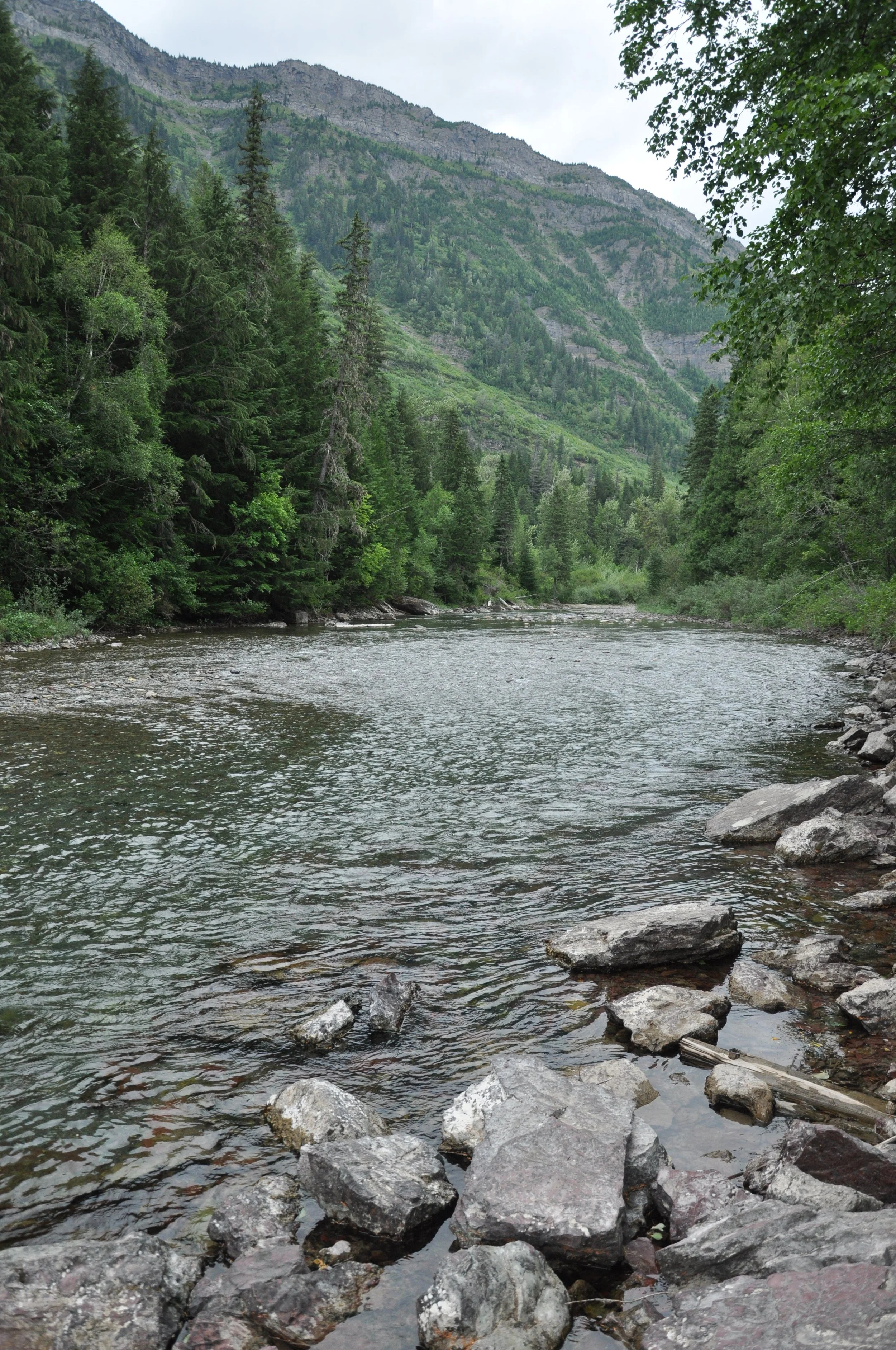 DSC_0186.JPG