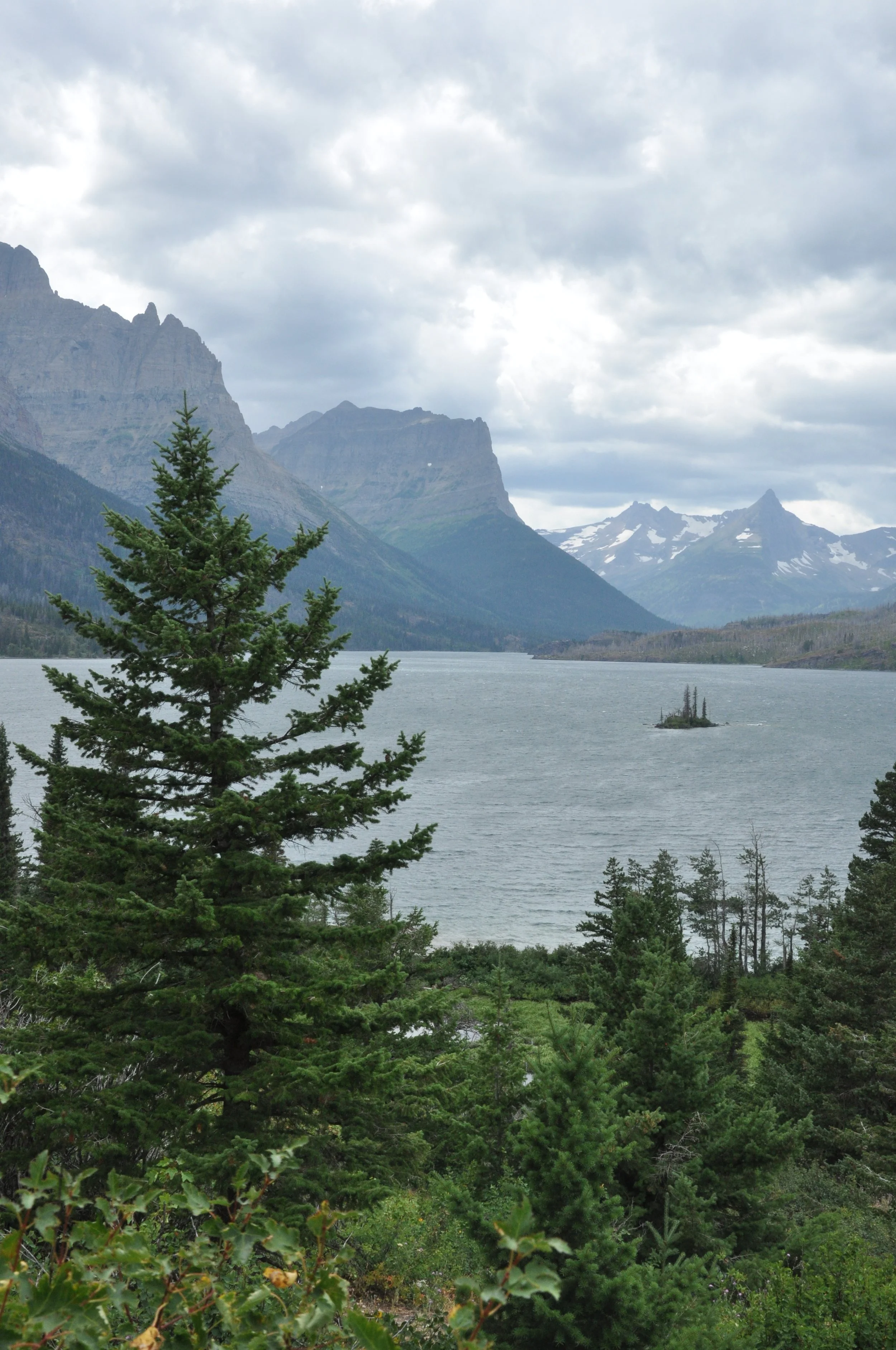 DSC_0137.JPG