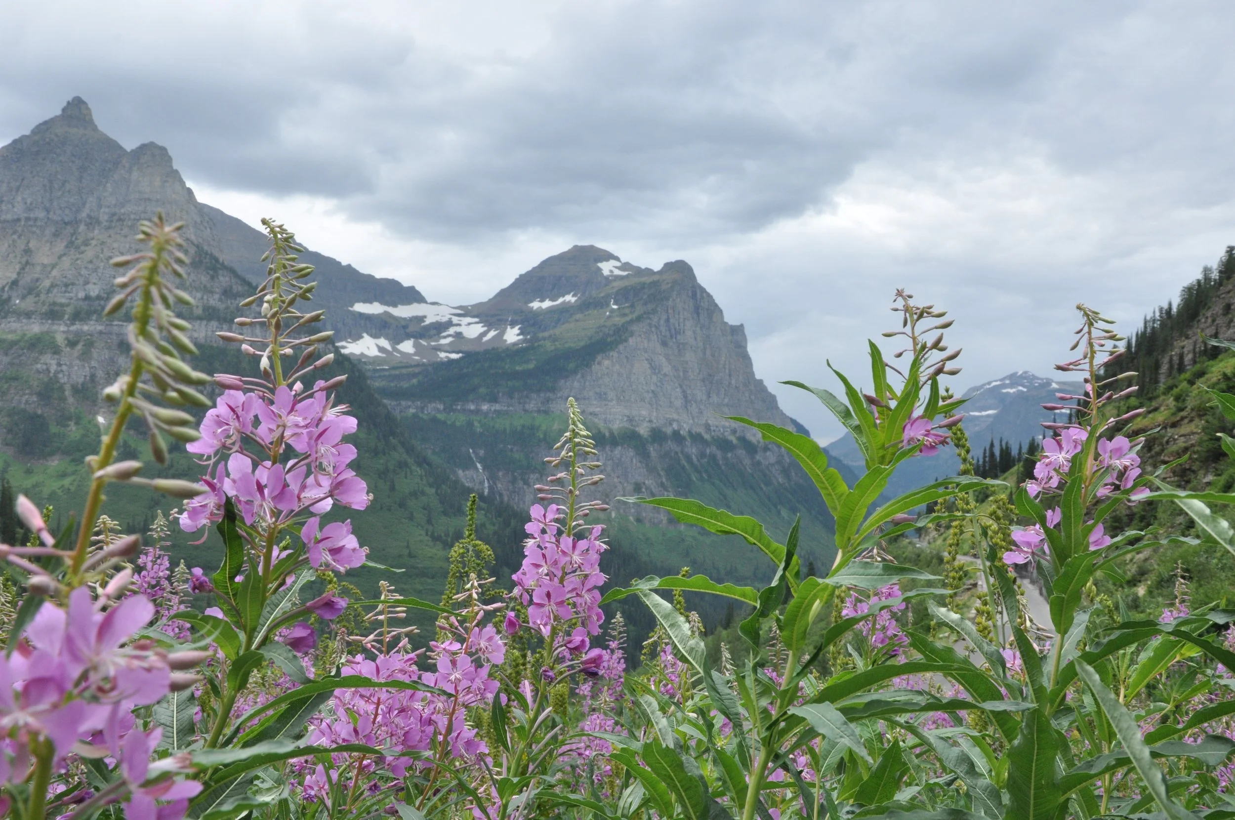 DSC_0164.JPG