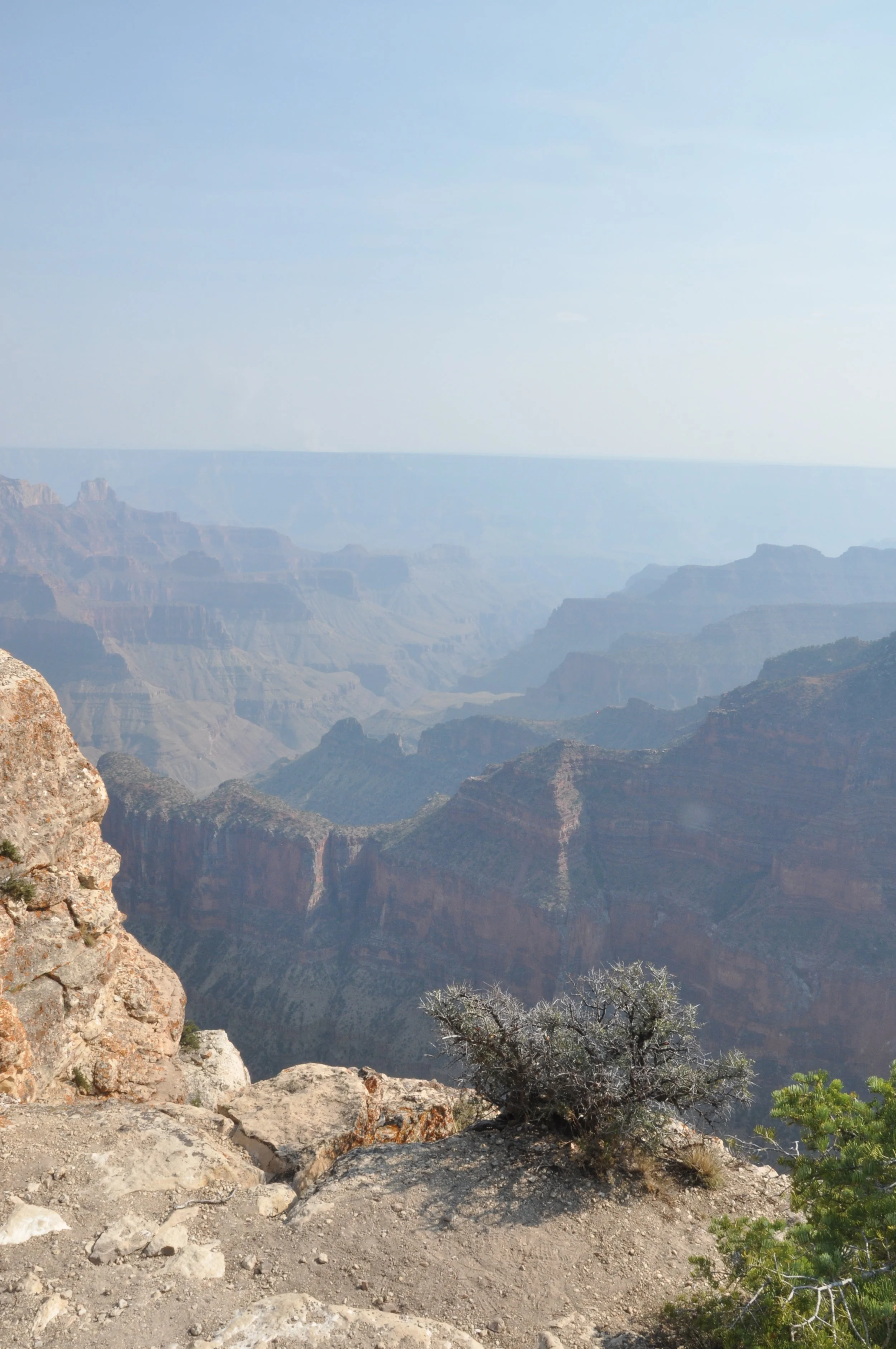 DSC_0979.JPG